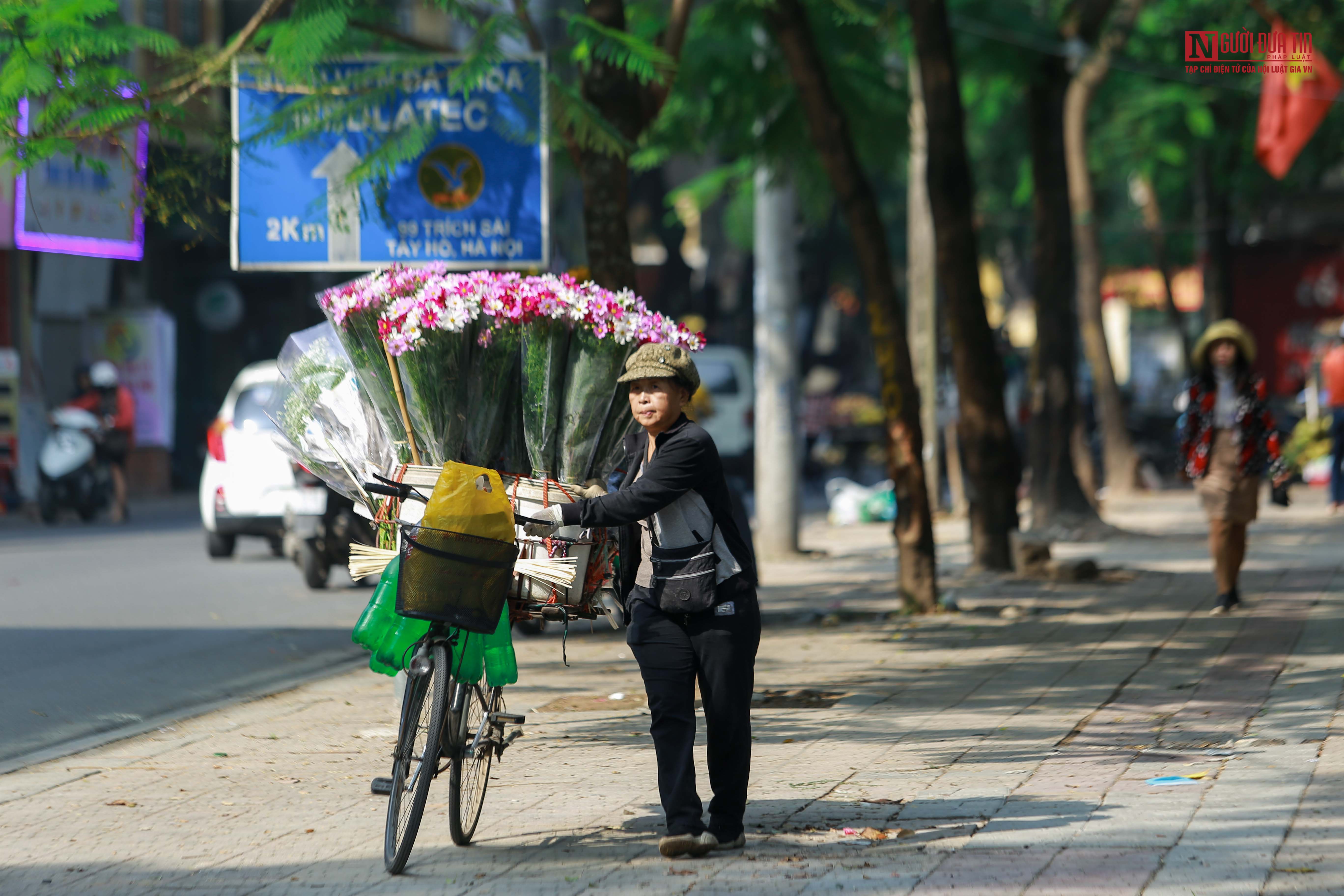 Tin nhanh - Cúc họa mi xuống phố đẹp hút hồn (Hình 5).