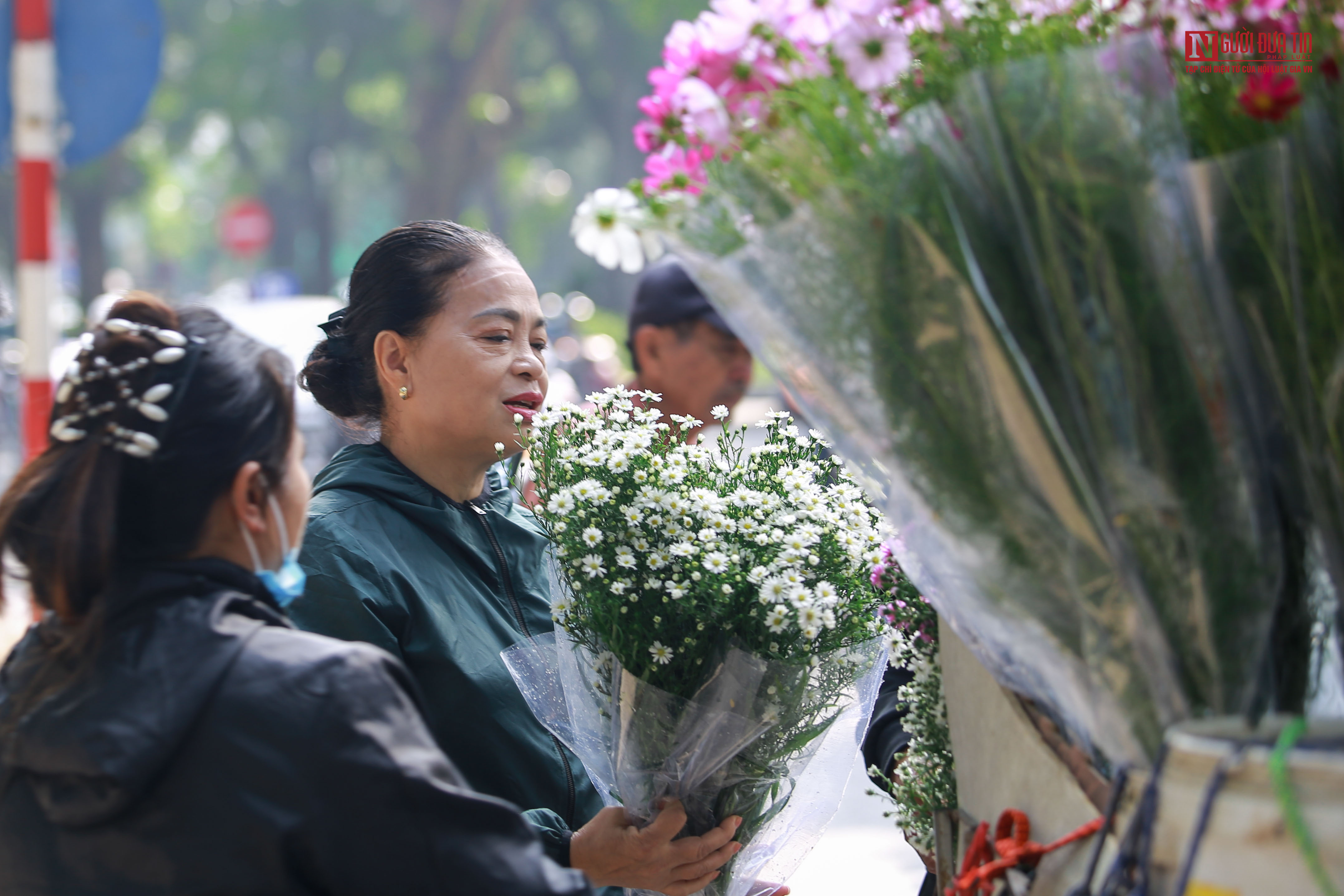 Tin nhanh - Cúc họa mi xuống phố đẹp hút hồn (Hình 9).