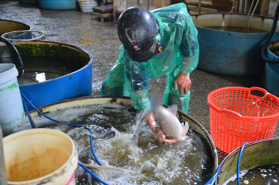 Dân sinh - Những đôi tay trần bê đá và ngâm trong nước giữa trời rét dưới 10 độ (Hình 2).