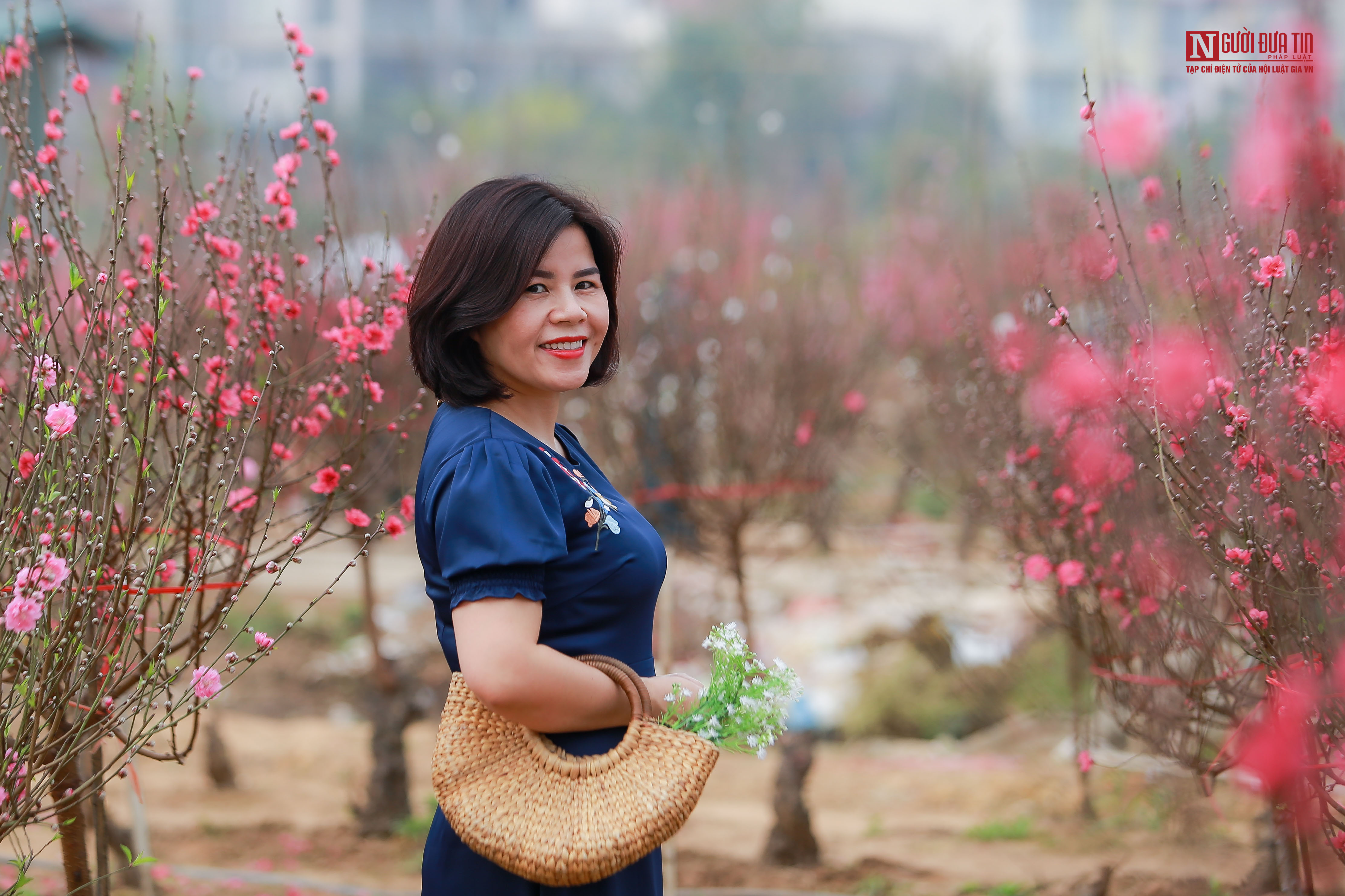 Tin nhanh - Người dân 'đọ sắc' với hoa đào Nhật Tân (Hình 9).