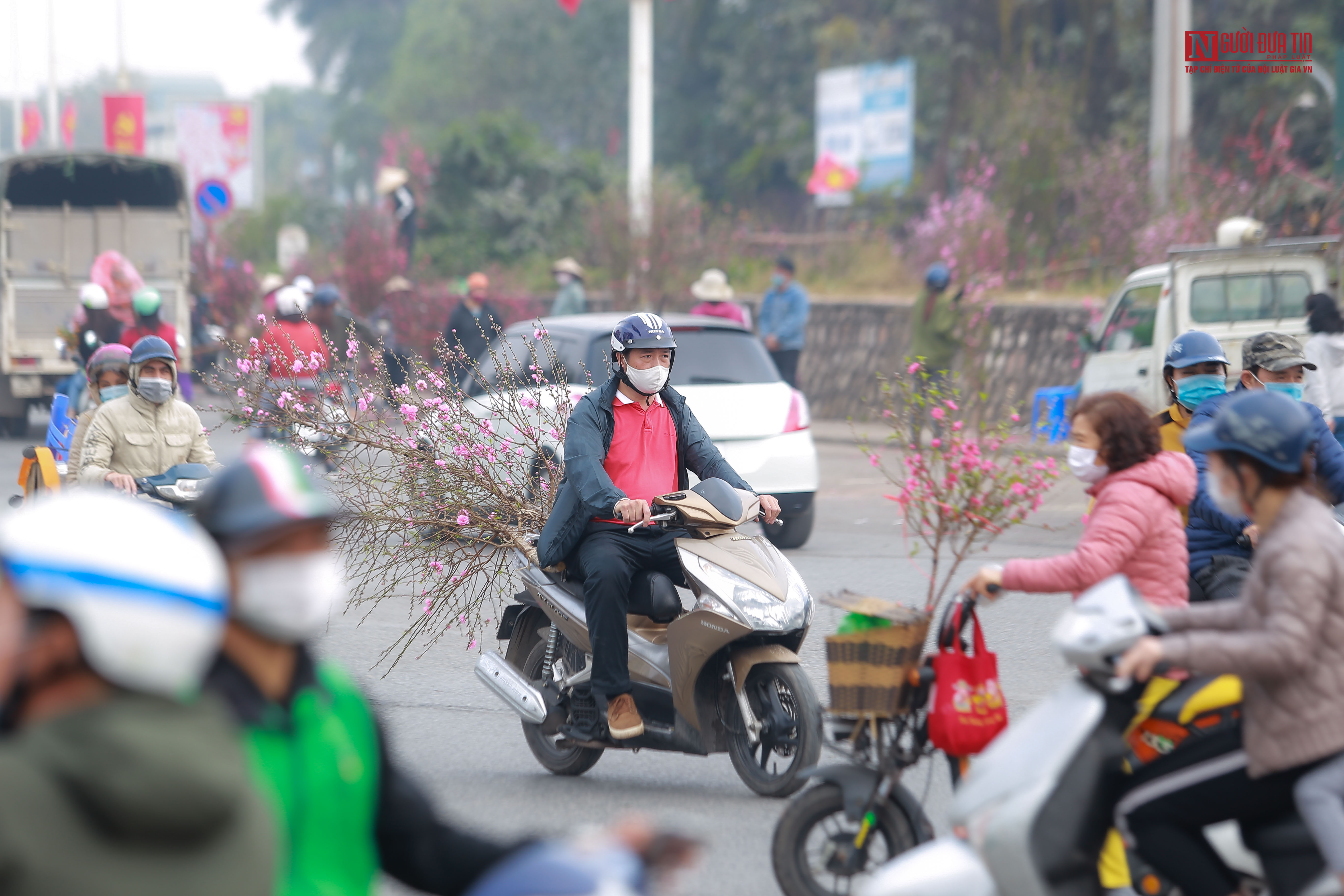 Tiêu dùng & Dư luận - Chợ hoa Quảng Bá nhộn nhịp ngày chủ nhật cuối năm (Hình 12).