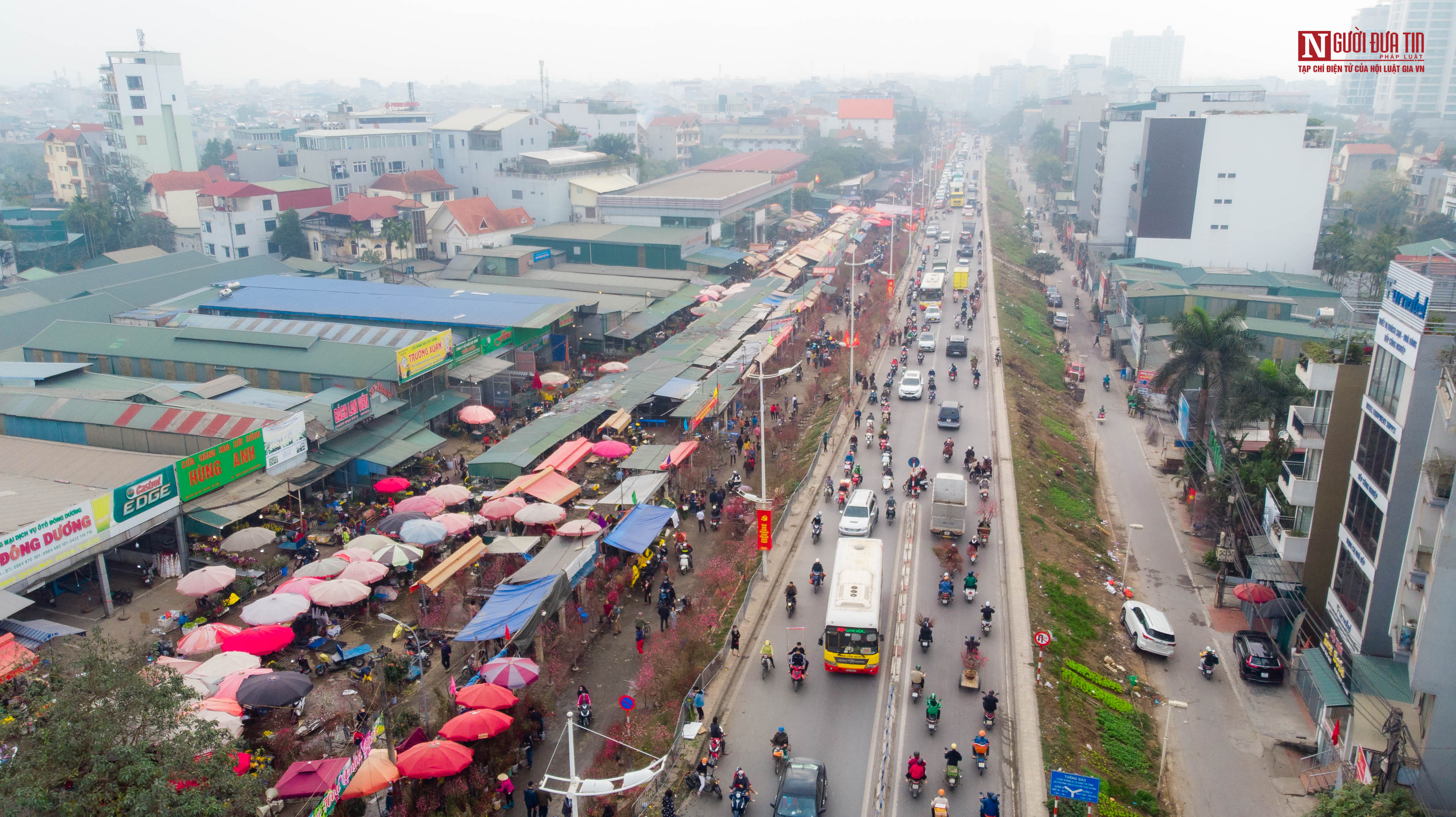 Tiêu dùng & Dư luận - Chợ hoa Quảng Bá nhộn nhịp ngày chủ nhật cuối năm (Hình 18).