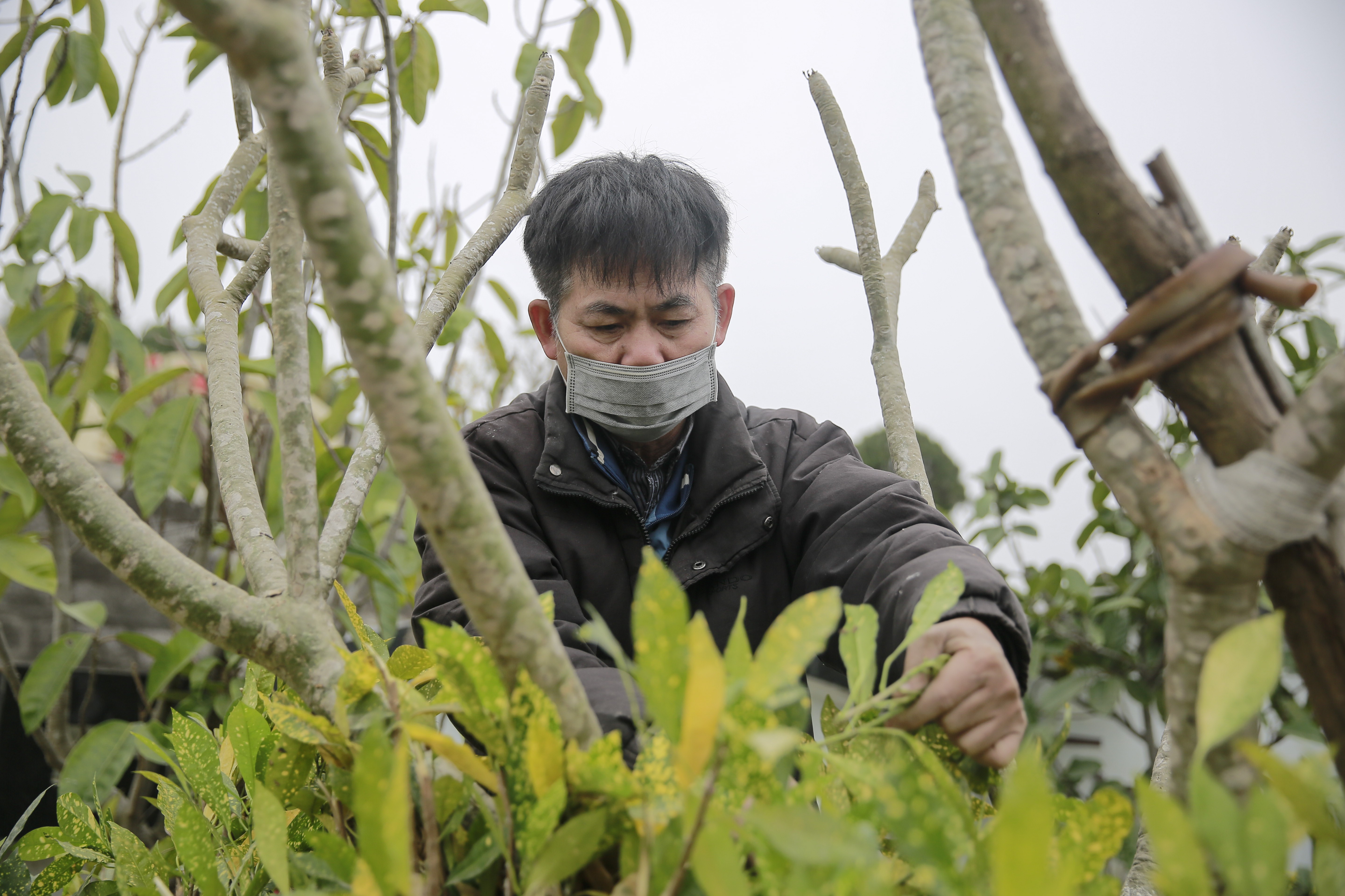 Tin nhanh - Công viên nghĩa trang nhộn nhịp những ngày cận Tết Nguyên đán (Hình 4).