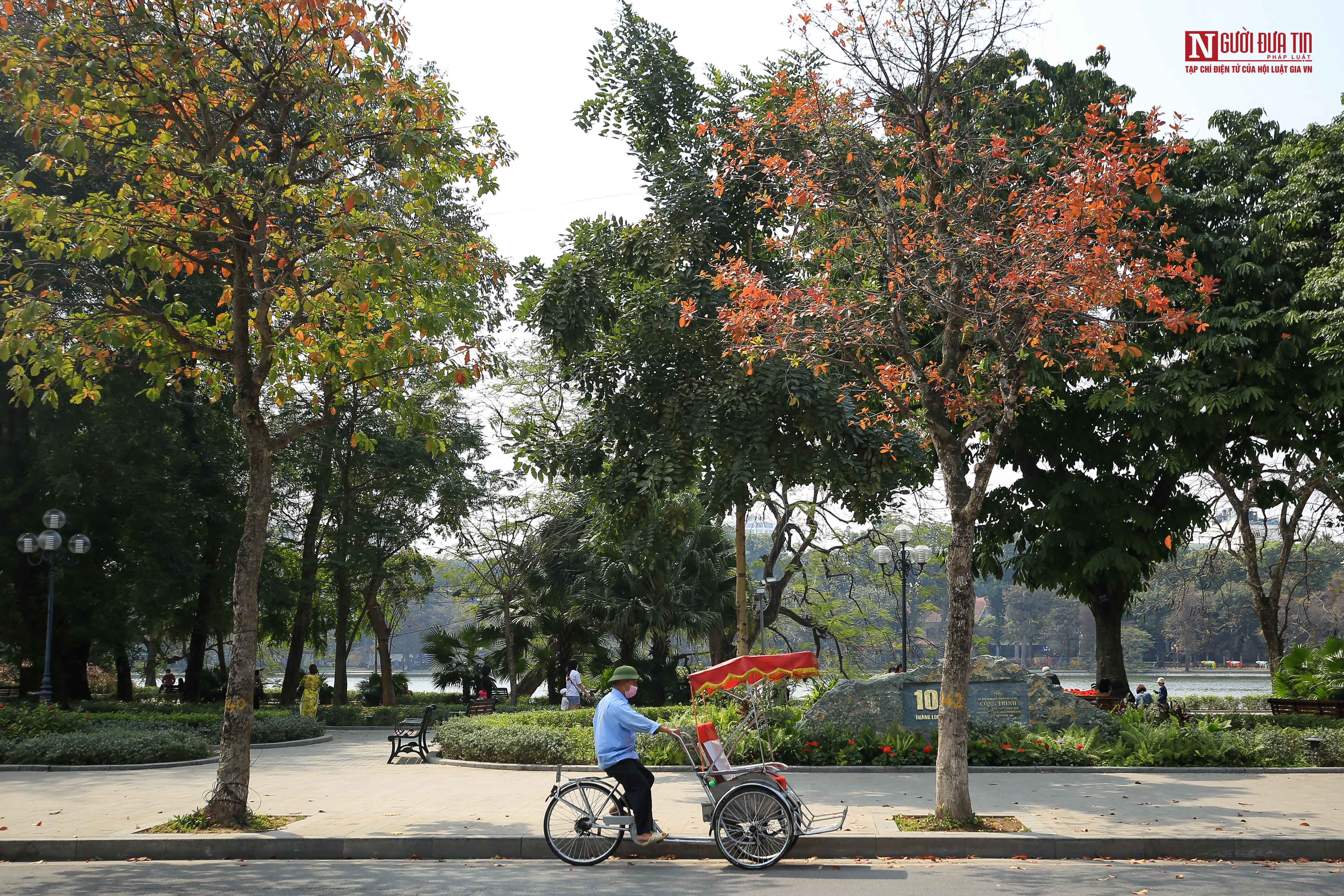 Tin nhanh - Ngắm Hà Nội nên thơ, trong mùa thay lá