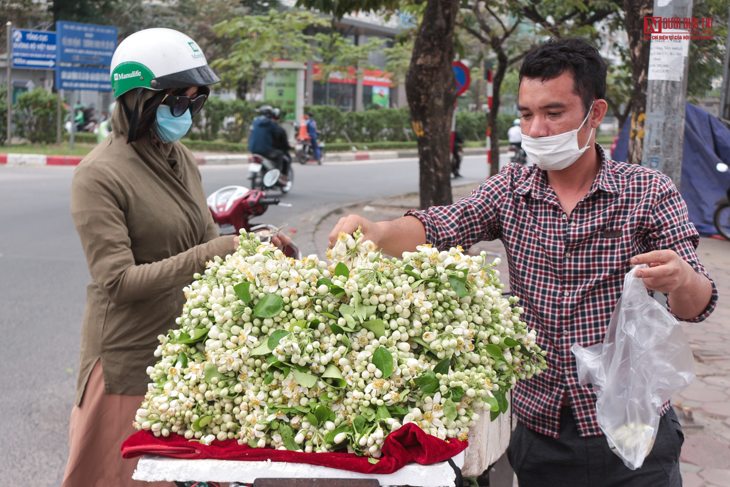 Tiêu dùng & Dư luận - Người dân tấp nập mua hoa bưởi đón rằm tháng Riêng (Hình 6).