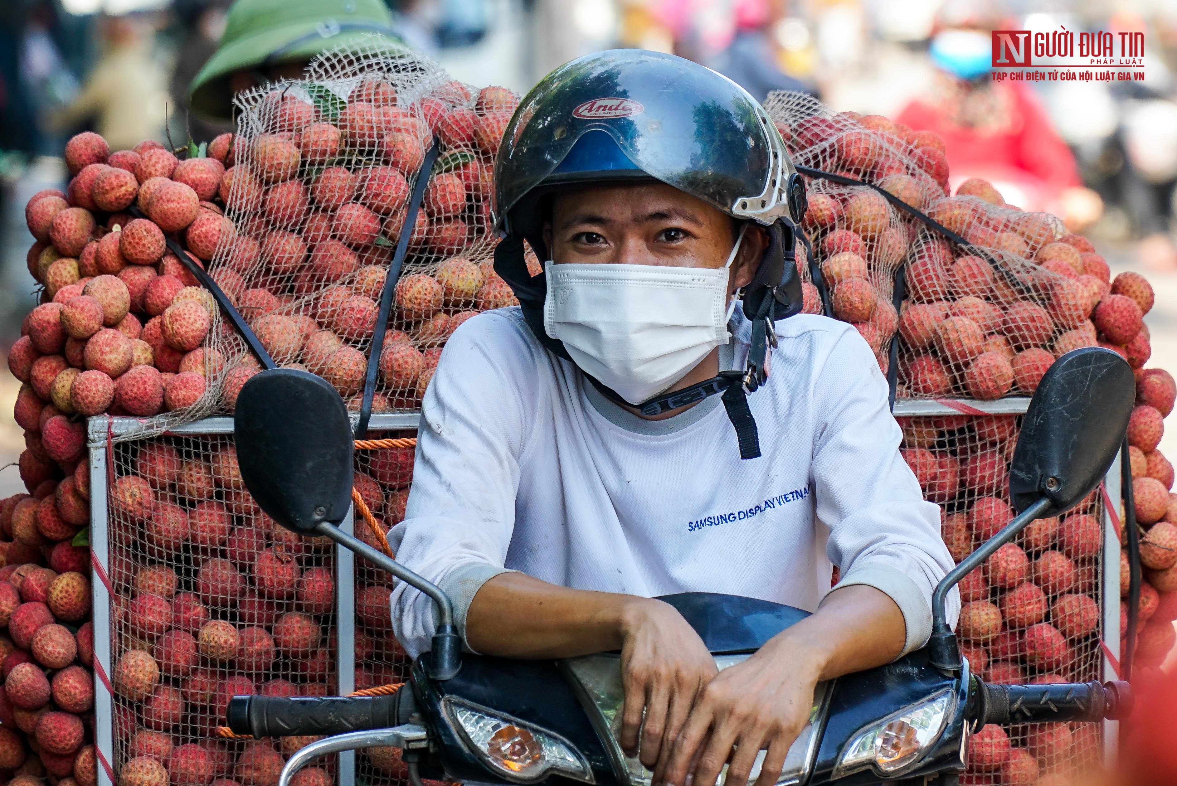 Tiêu dùng & Dư luận - Cận cảnh quá trình thu hoạch, đóng gói xuất khẩu vải thiều (Hình 10).