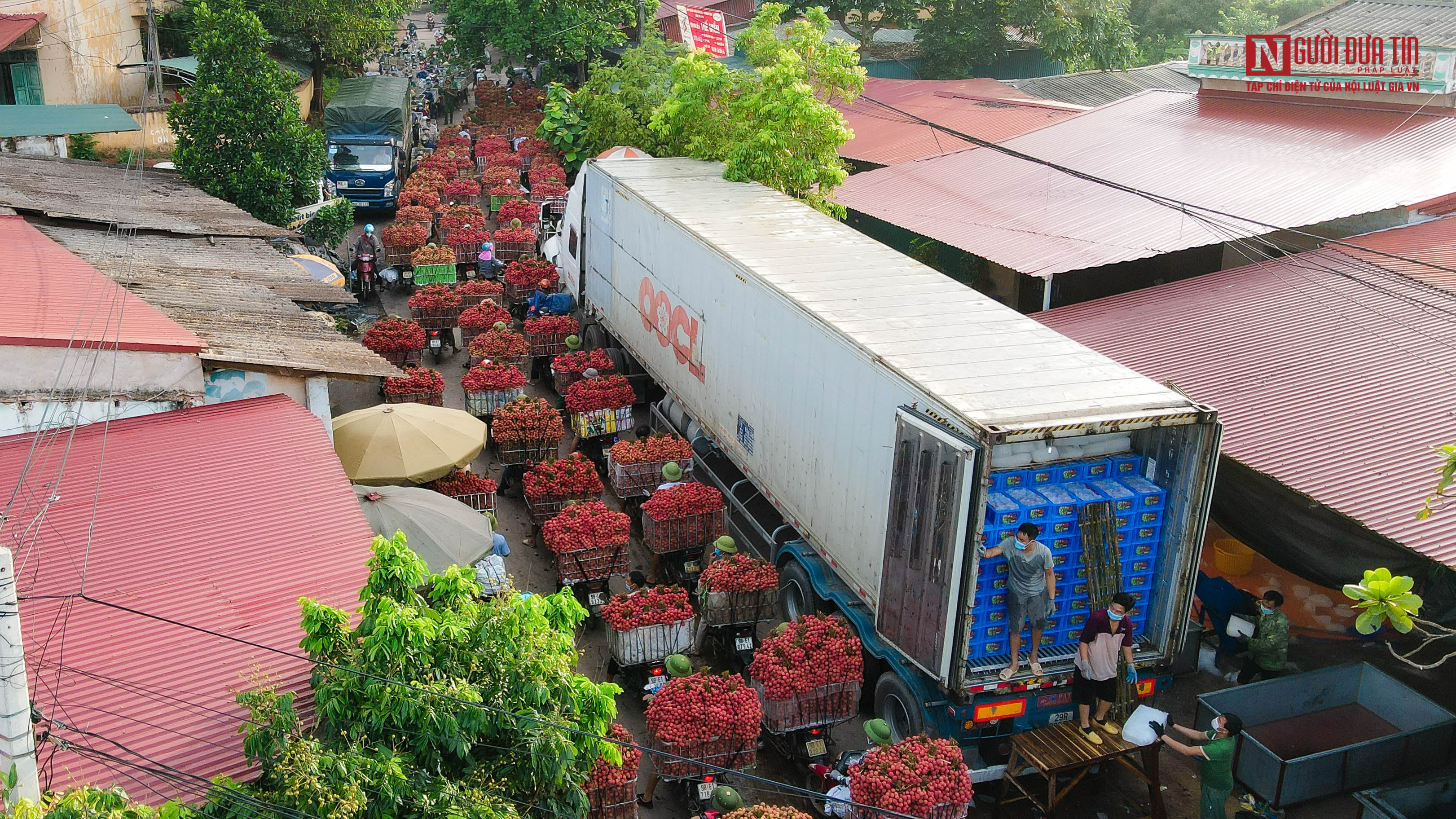 Tiêu dùng & Dư luận - Tắc đường từ sớm, những chiếc xe chở vải nối hàng dài km (Hình 8).