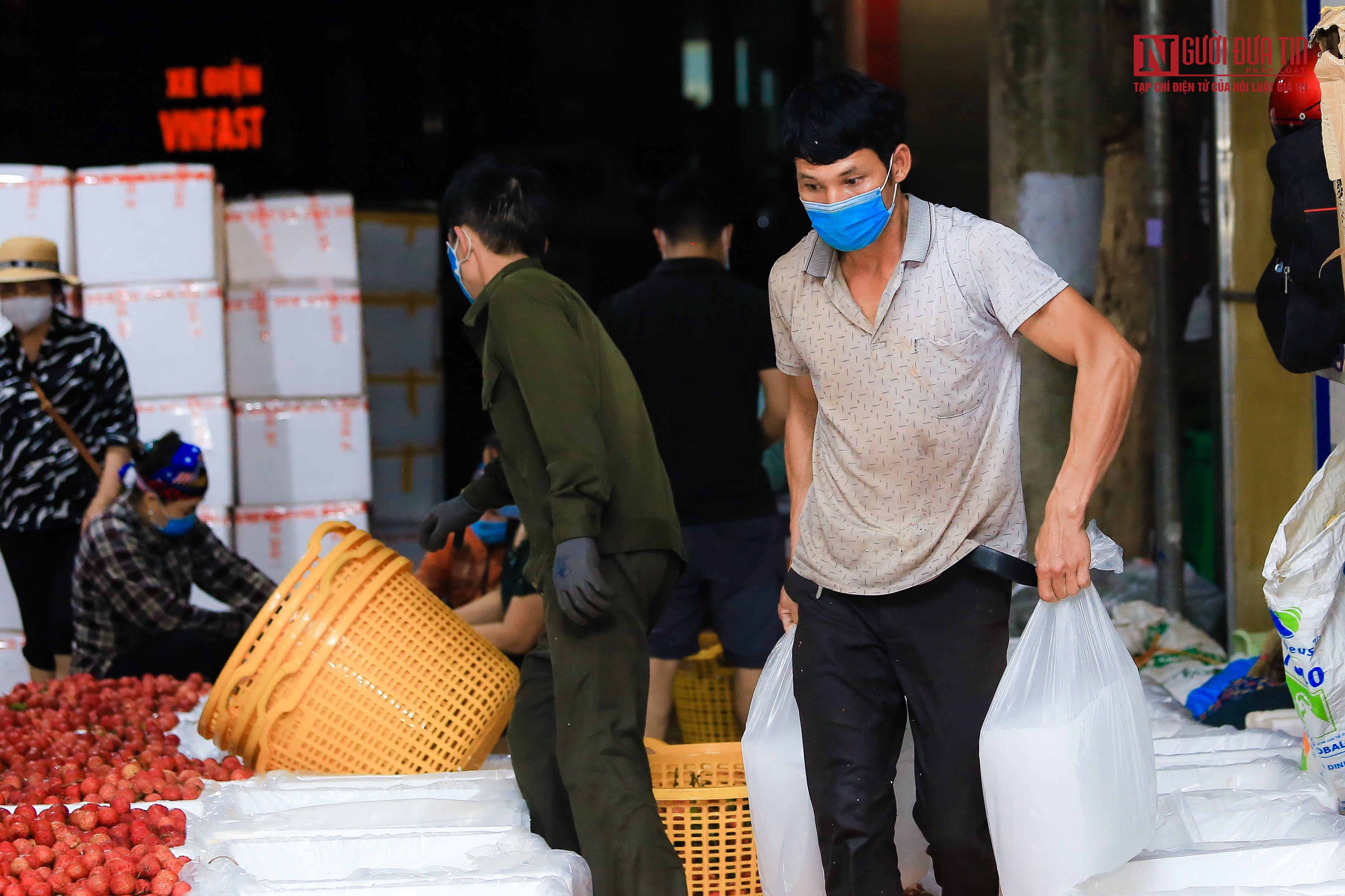 Tiêu dùng & Dư luận - Xuyên đêm đóng gói vải mang đi tiêu thụ  (Hình 4).