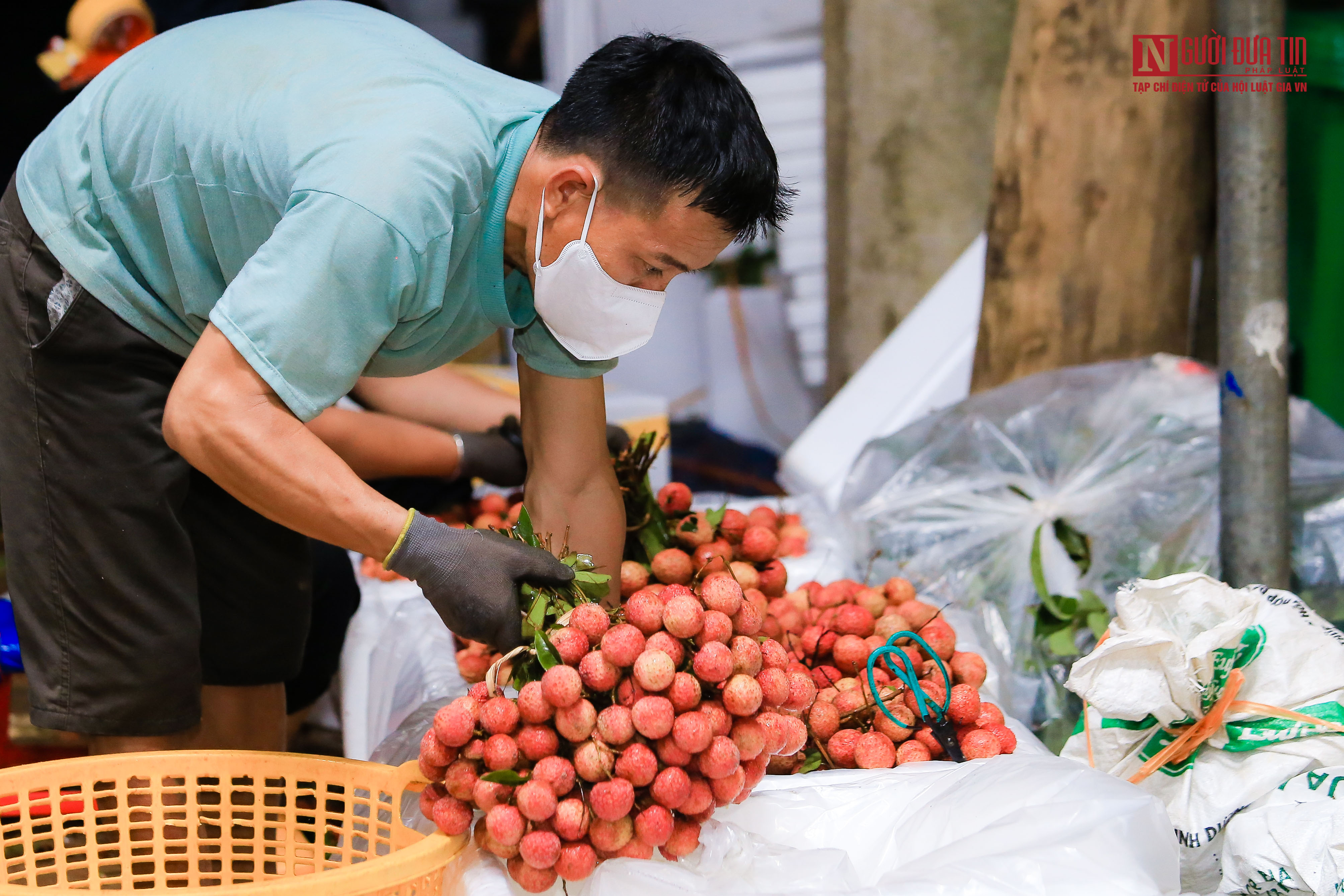 Tiêu dùng & Dư luận - Xuyên đêm đóng gói vải mang đi tiêu thụ  (Hình 12).