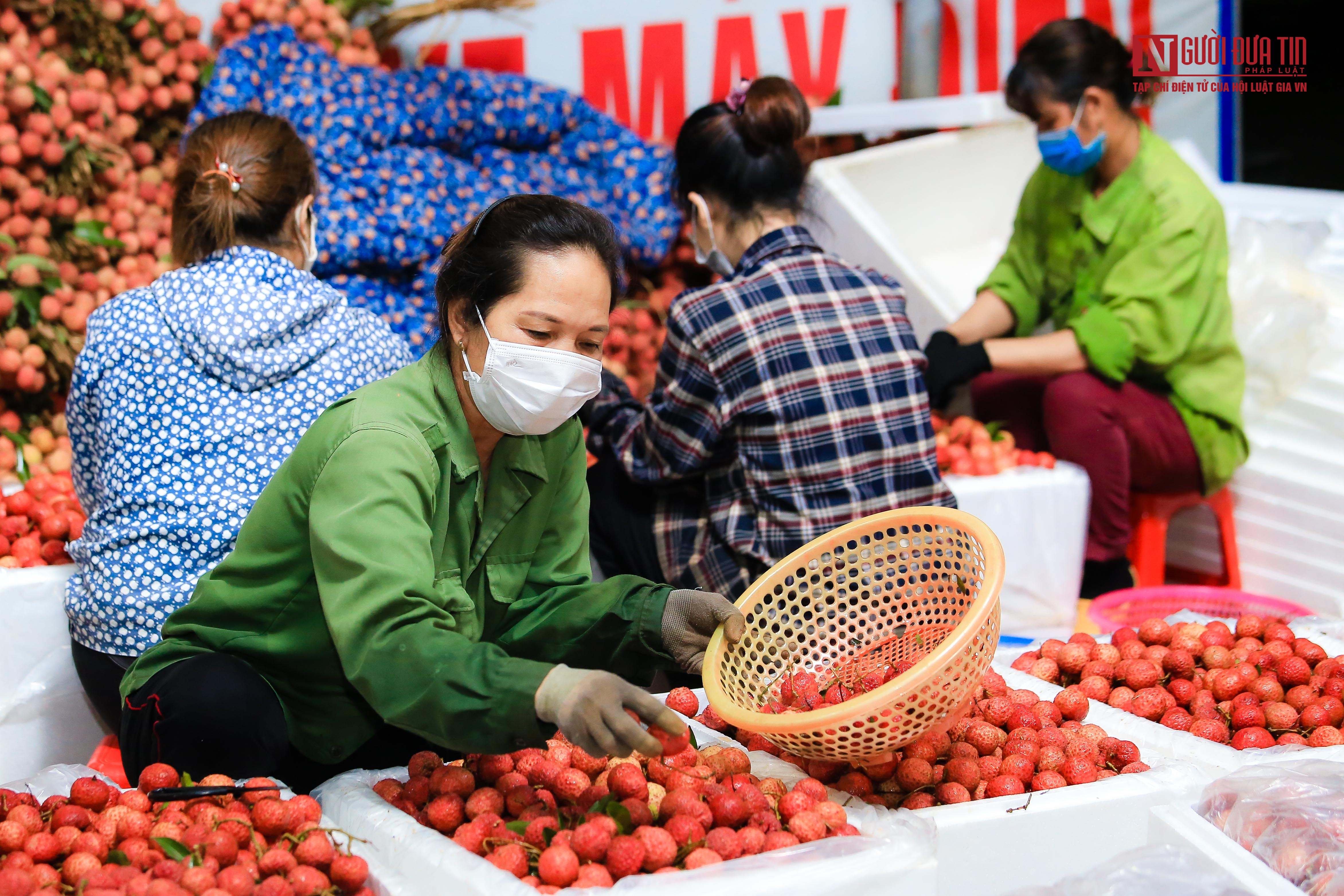 Tiêu dùng & Dư luận - Xuyên đêm đóng gói vải mang đi tiêu thụ  (Hình 9).