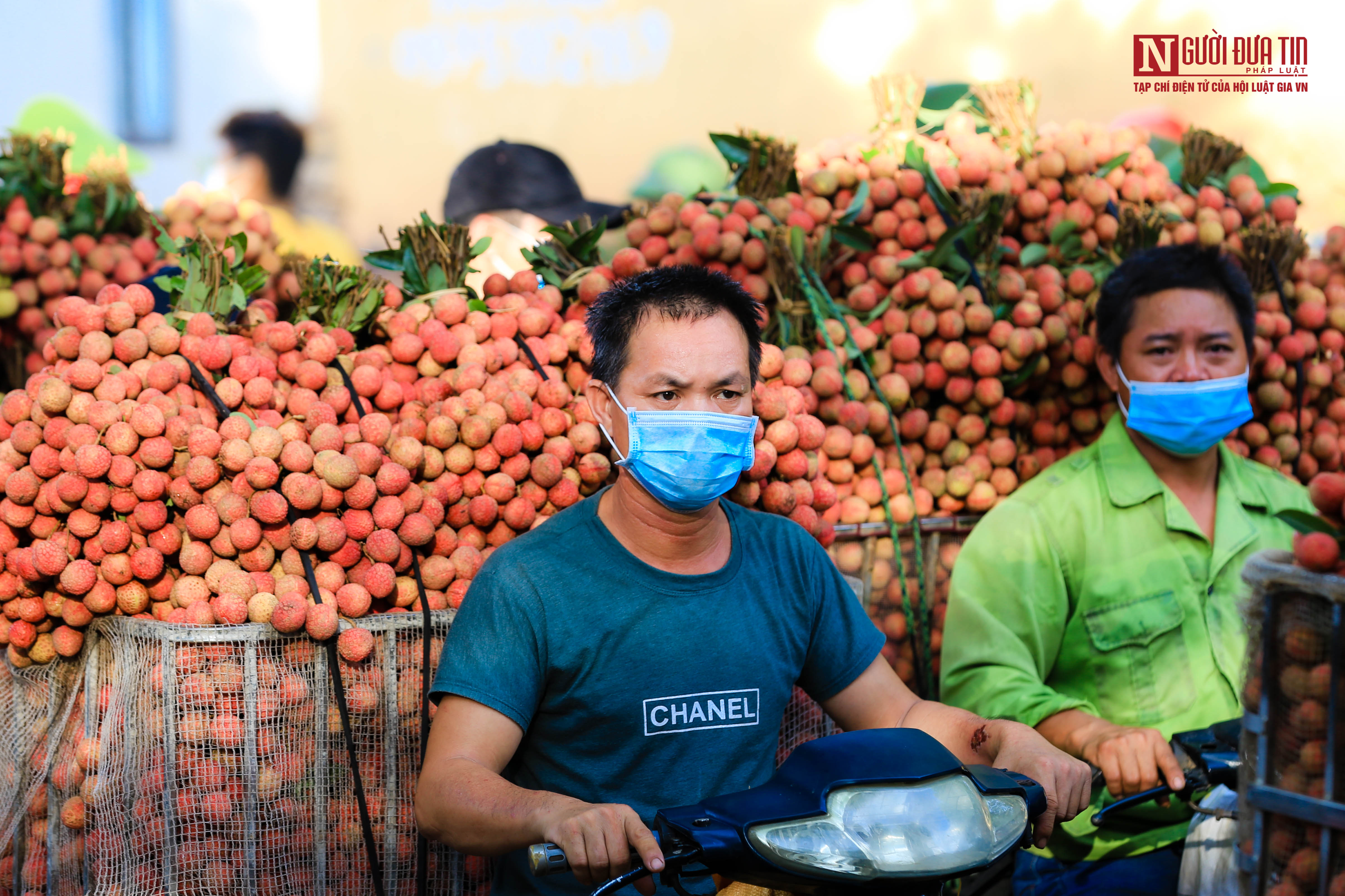 Tiêu dùng & Dư luận - Tắc đường từ sớm, những chiếc xe chở vải nối hàng dài km (Hình 11).