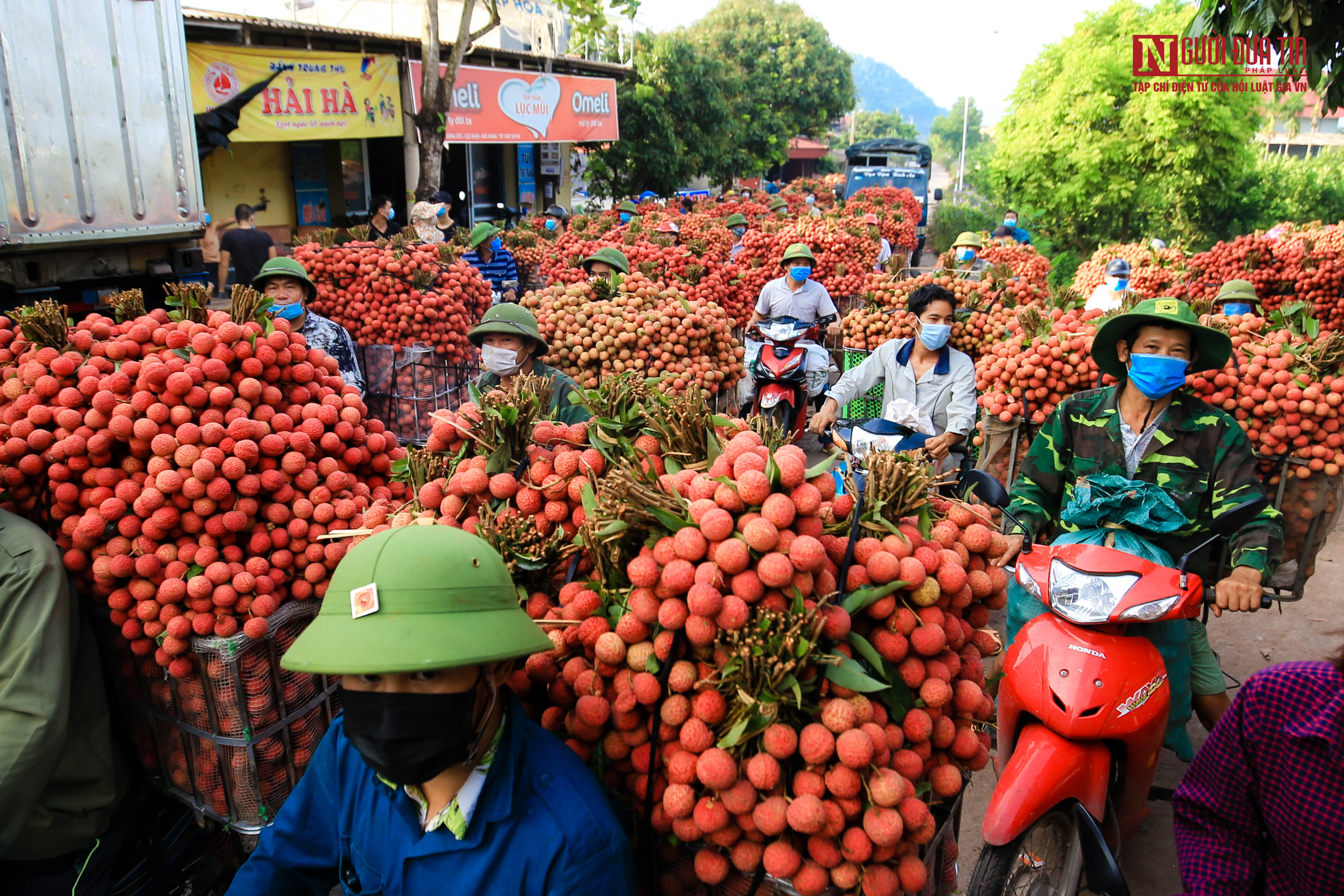 Tiêu dùng & Dư luận - Tắc đường từ sớm, những chiếc xe chở vải nối hàng dài km (Hình 6).