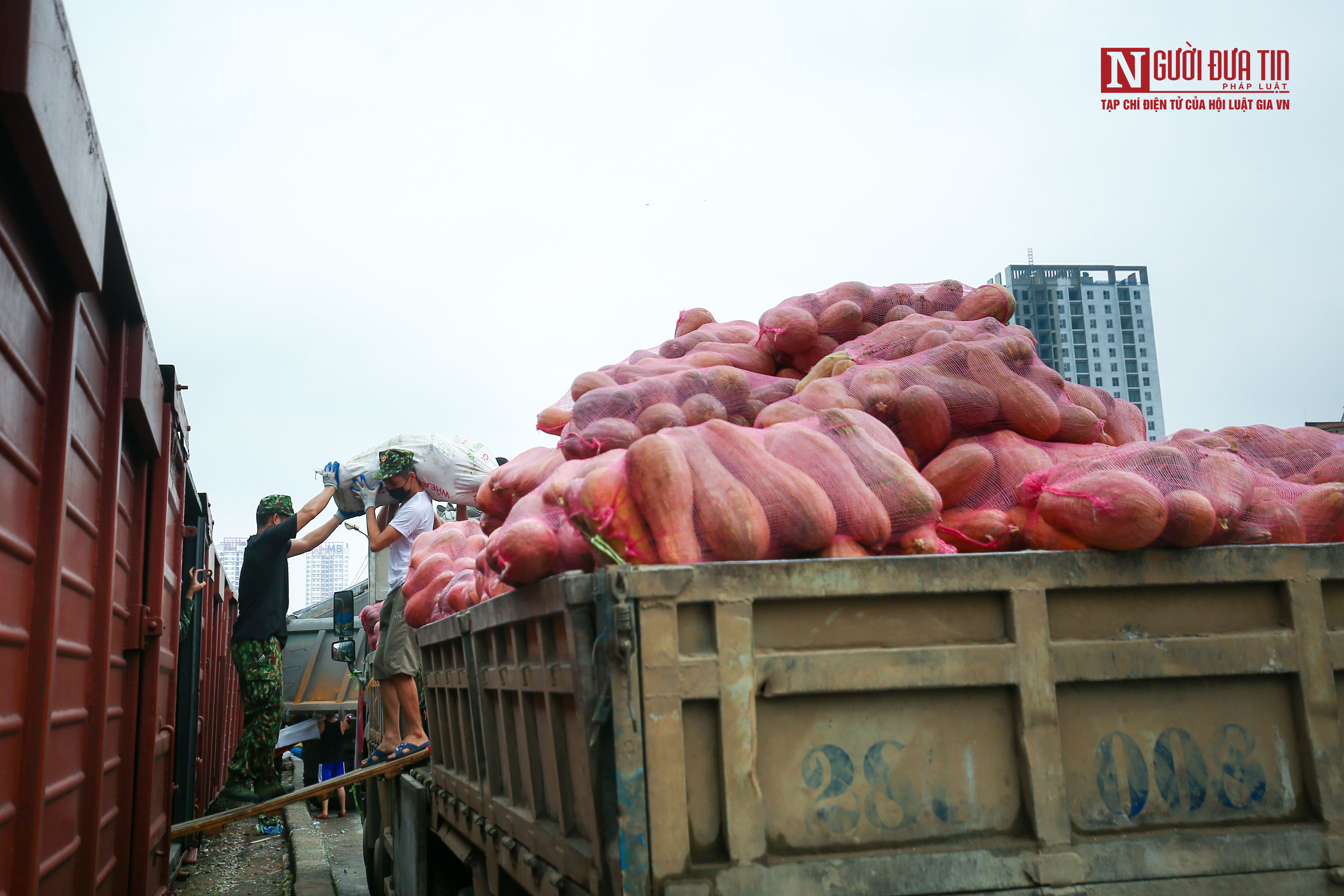 Sự kiện - Vận chuyển gạo và nhu yếu phẩm hỗ trợ TP. HCM, Bình Dương chống dịch (Hình 14).