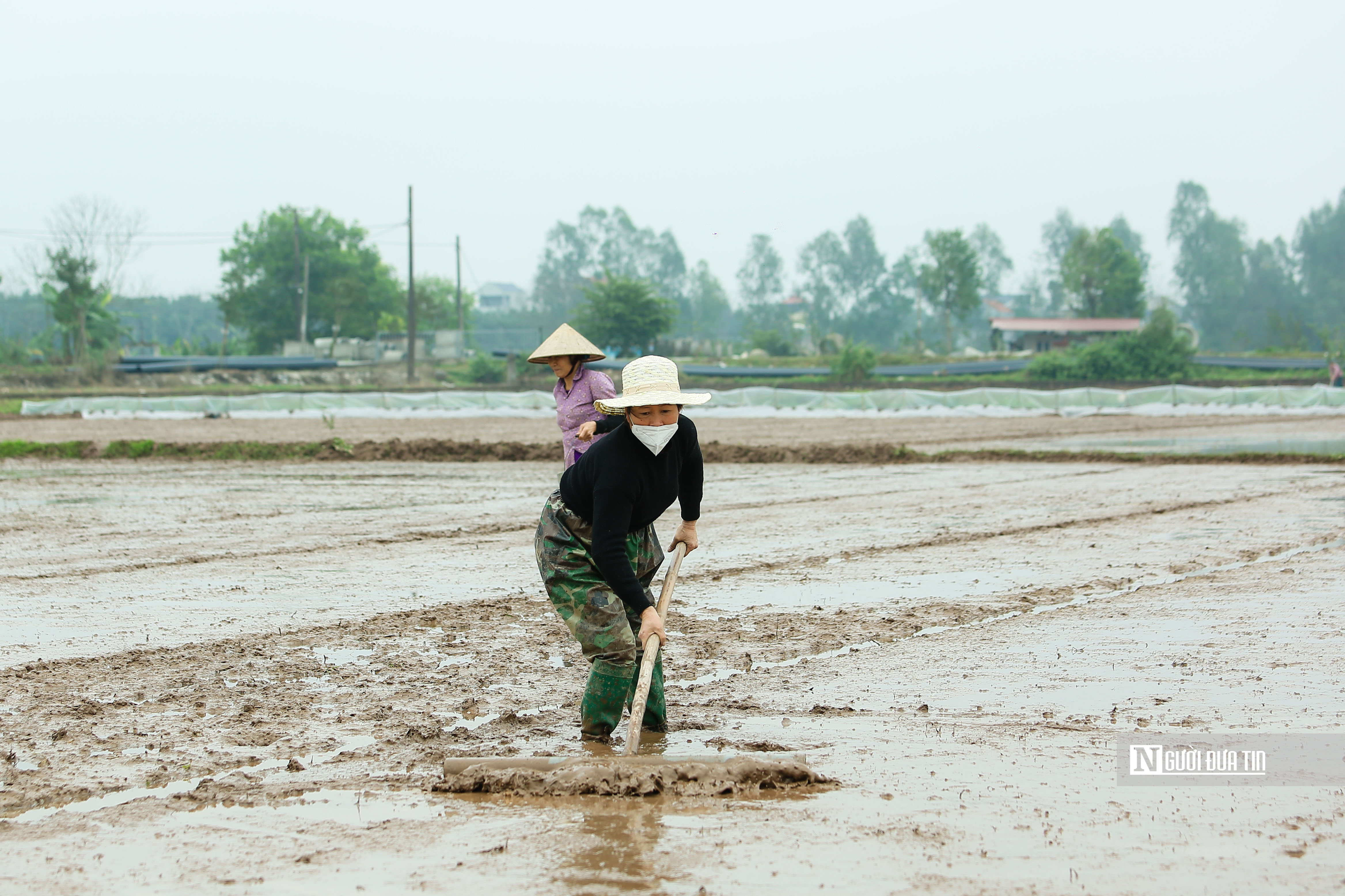 Dân sinh - Người dân đổ ra đồng sau Lễ Tịch điền (Hình 6).