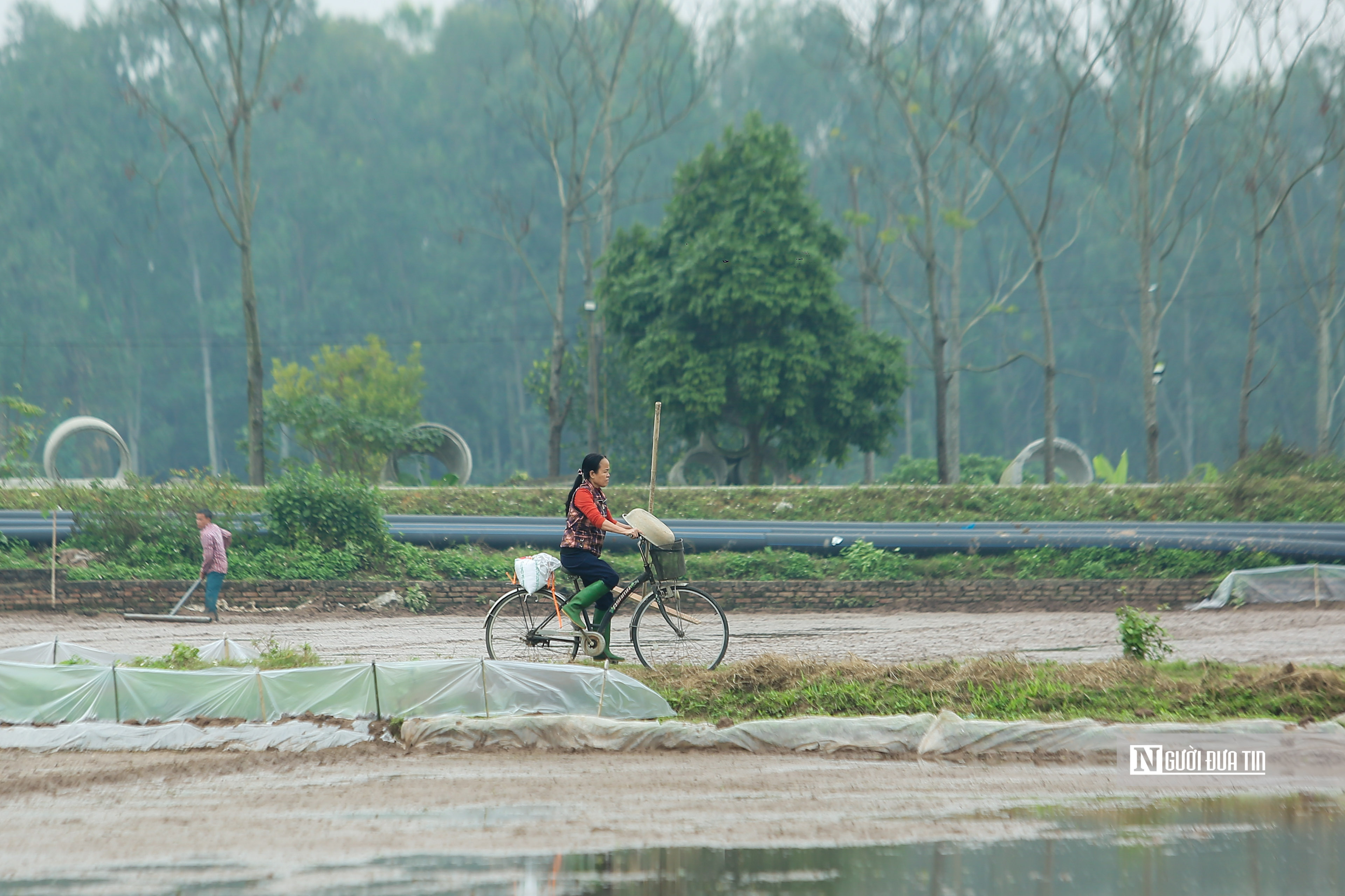 Dân sinh - Người dân đổ ra đồng sau Lễ Tịch điền (Hình 4).