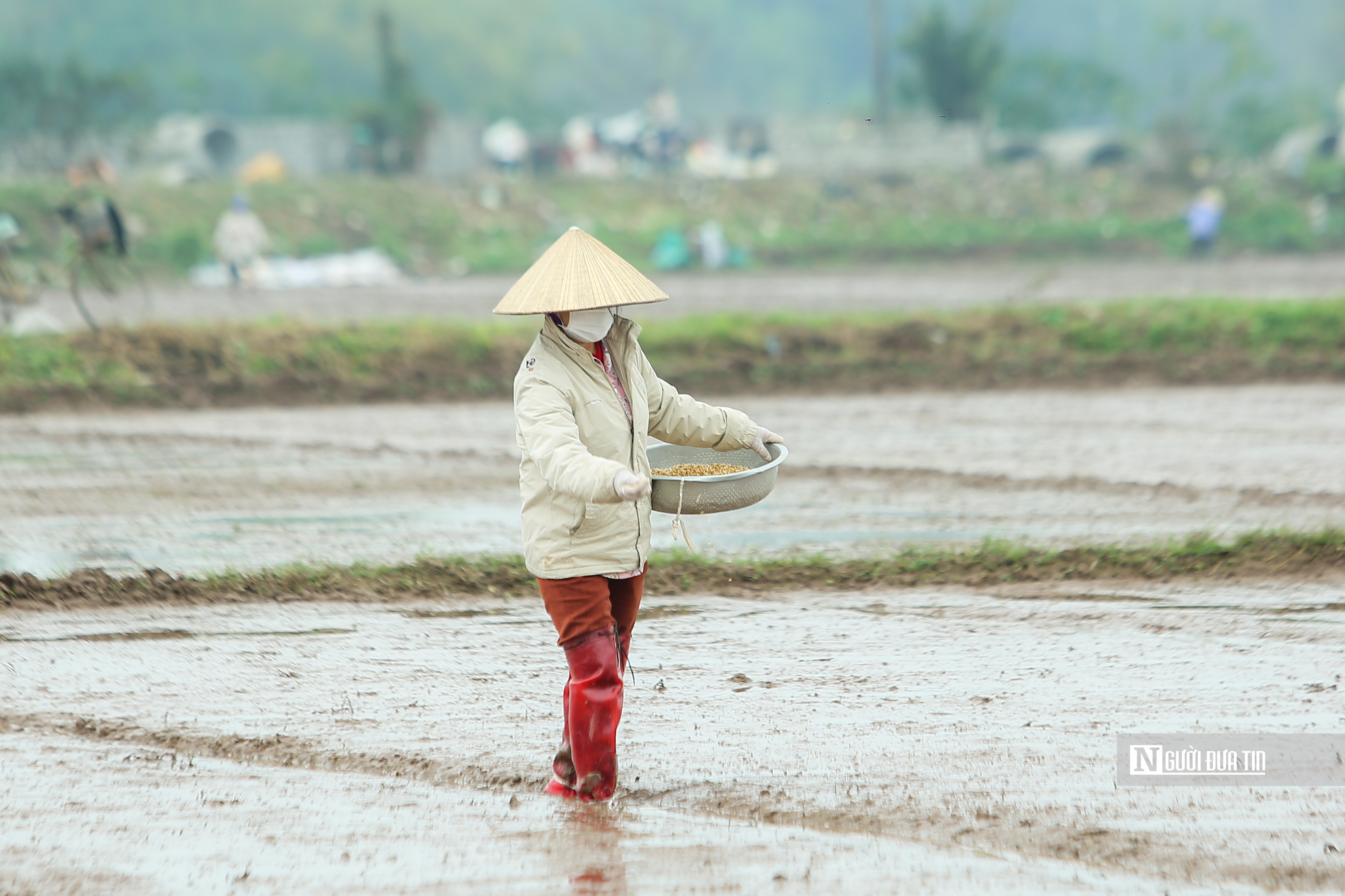 Dân sinh - Người dân đổ ra đồng sau Lễ Tịch điền (Hình 7).