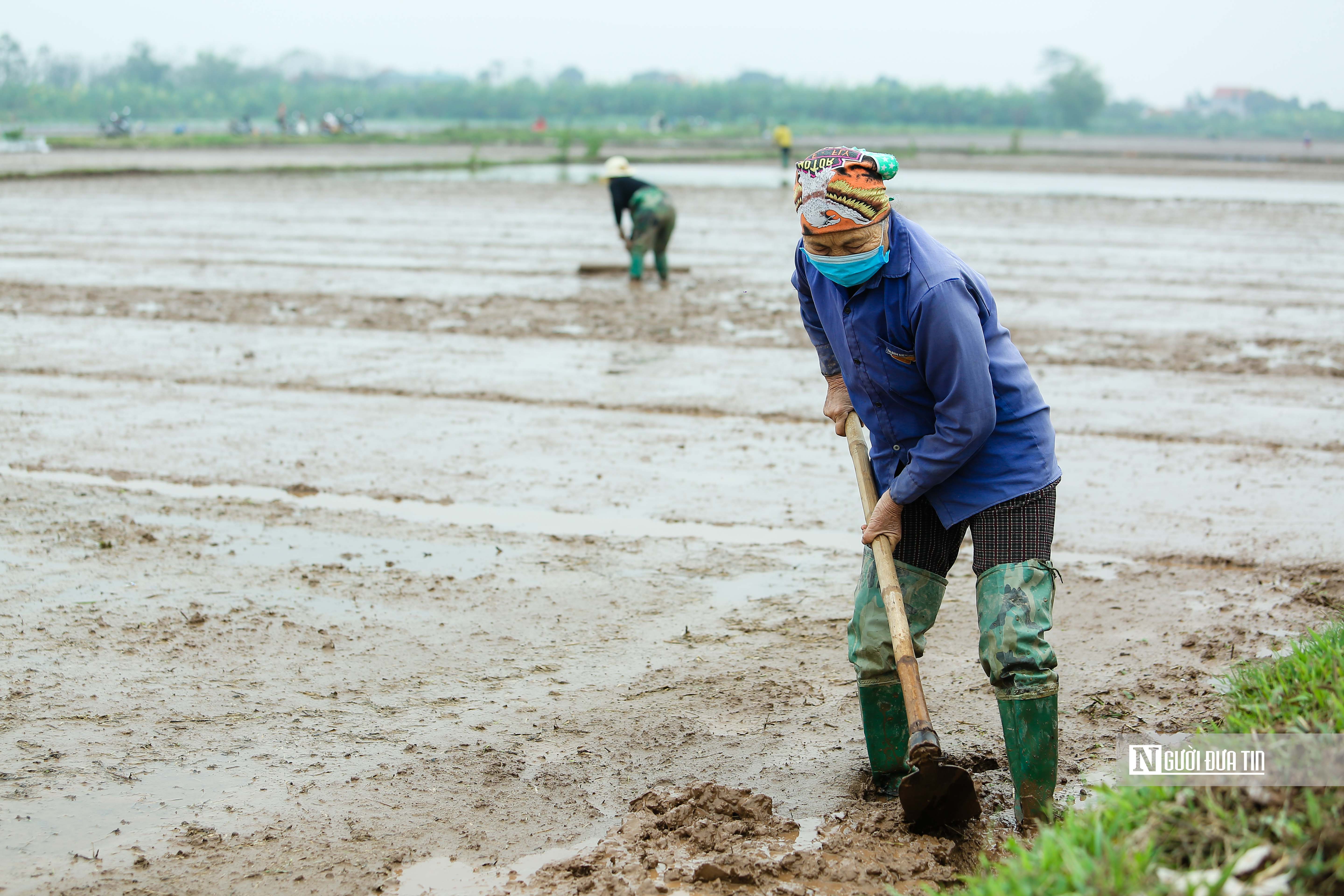 Dân sinh - Người dân đổ ra đồng sau Lễ Tịch điền (Hình 5).