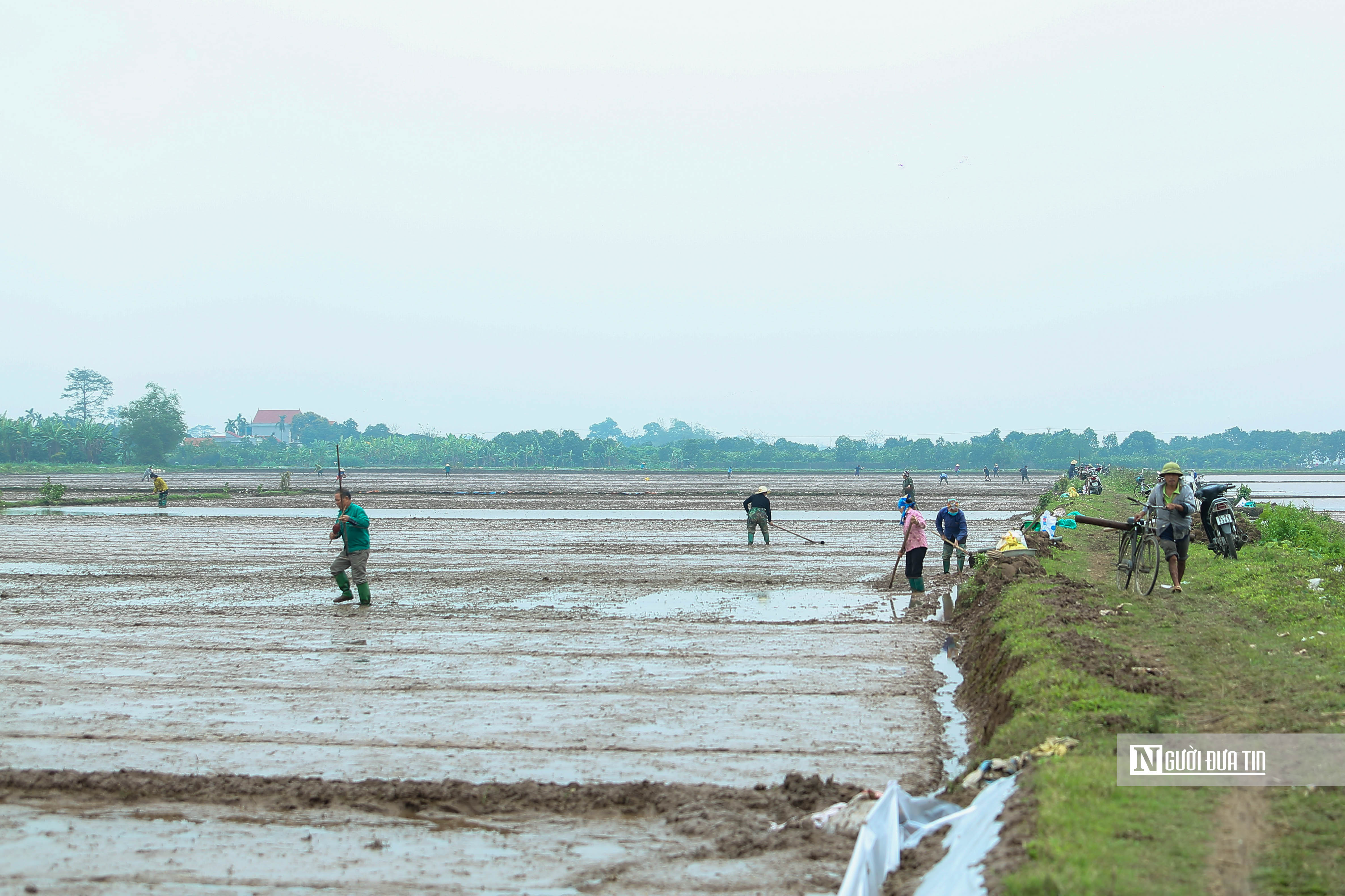 Dân sinh - Người dân đổ ra đồng sau Lễ Tịch điền (Hình 3).