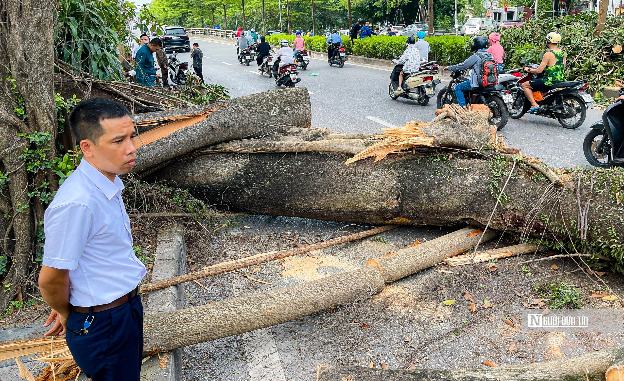 Sự kiện - Cây đa cổ thụ chắn ngang đường, giao thông tắc dài hàng km (Hình 3).