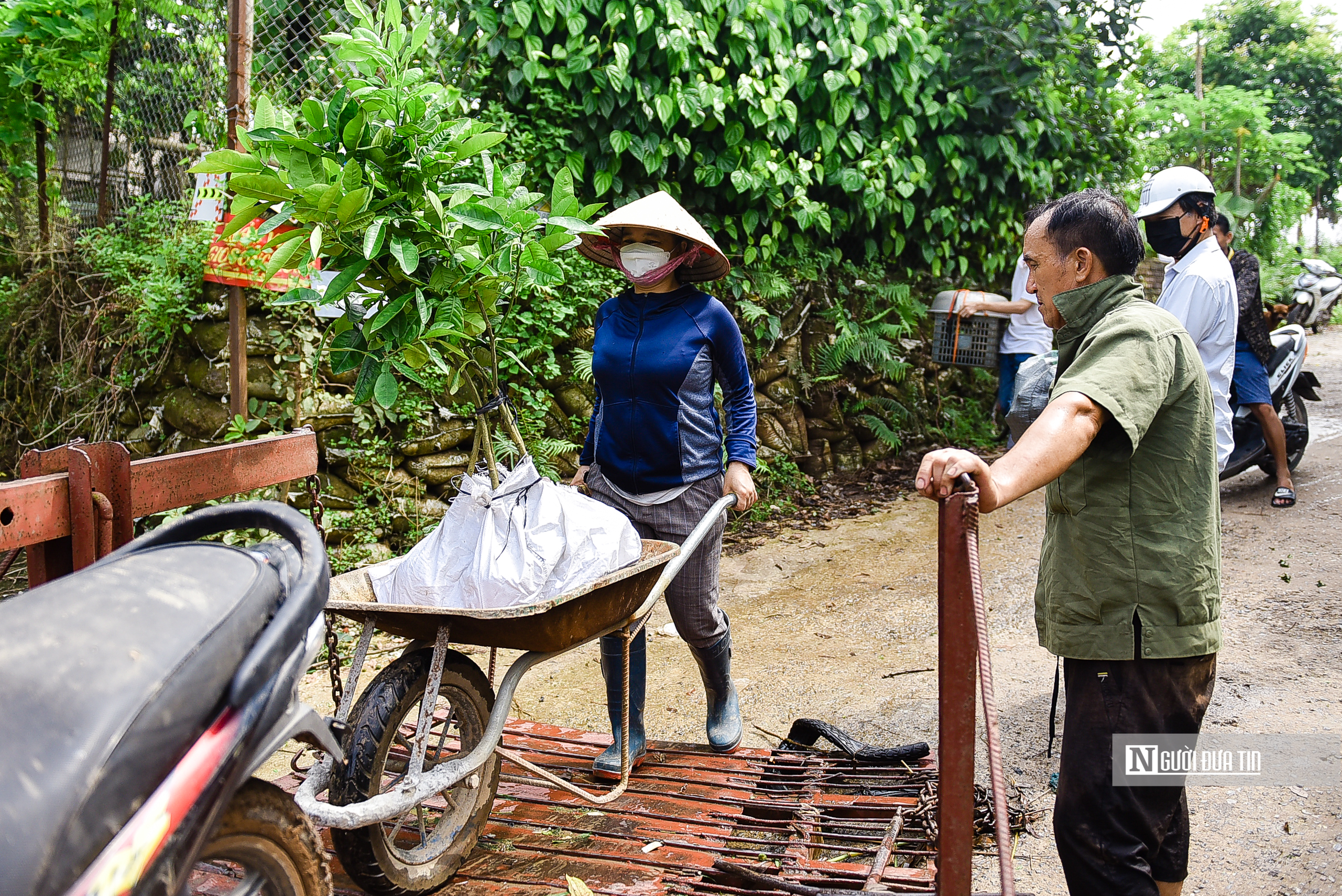 Sự kiện - Hà Nội: Mực nước tăng cao, người dân dùng đò để đi lại (Hình 5).