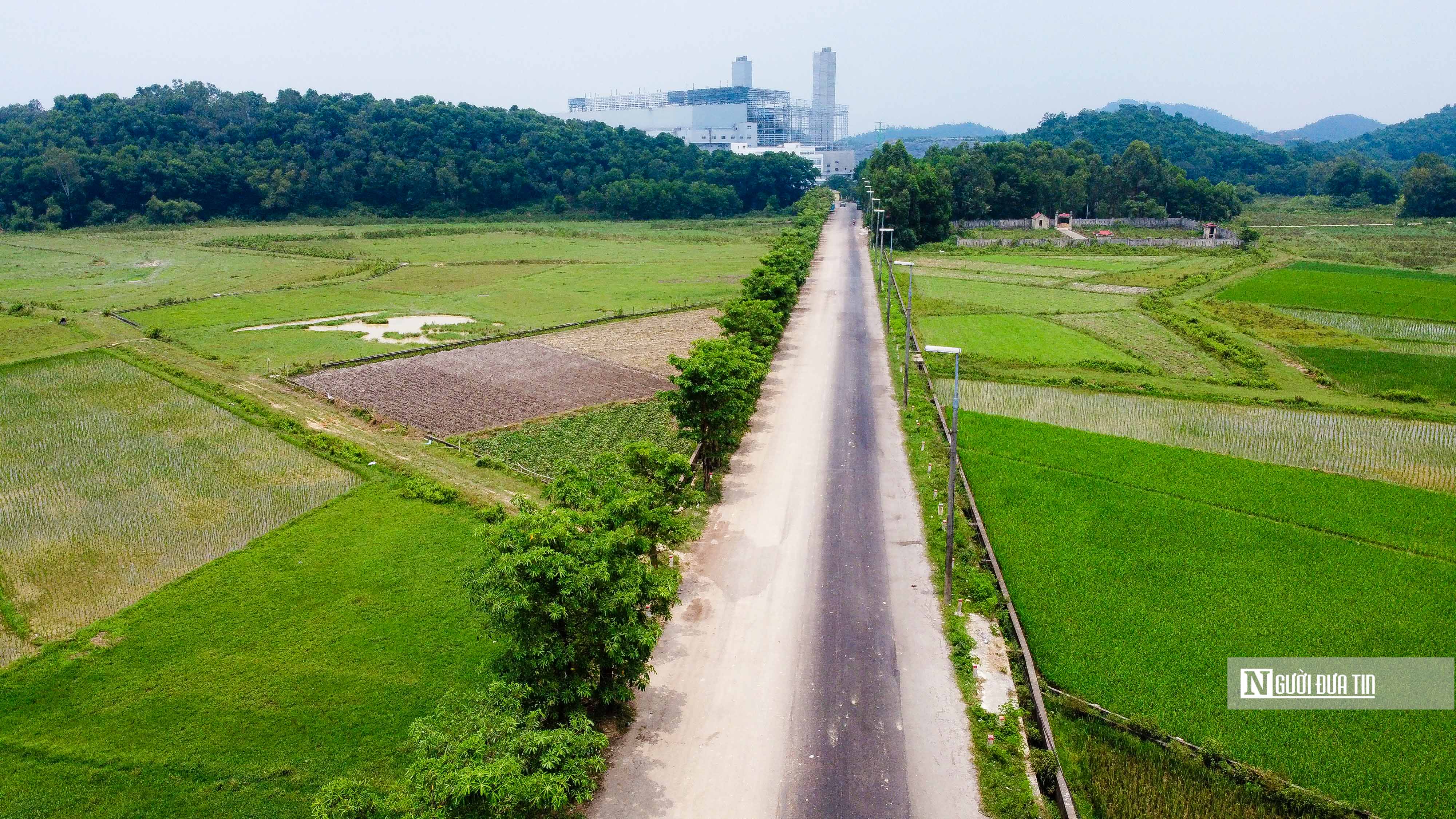 Môi trường - Hàng hoa sữa sau 3 năm đưa lên trồng tại bãi rác Nam Sơn 