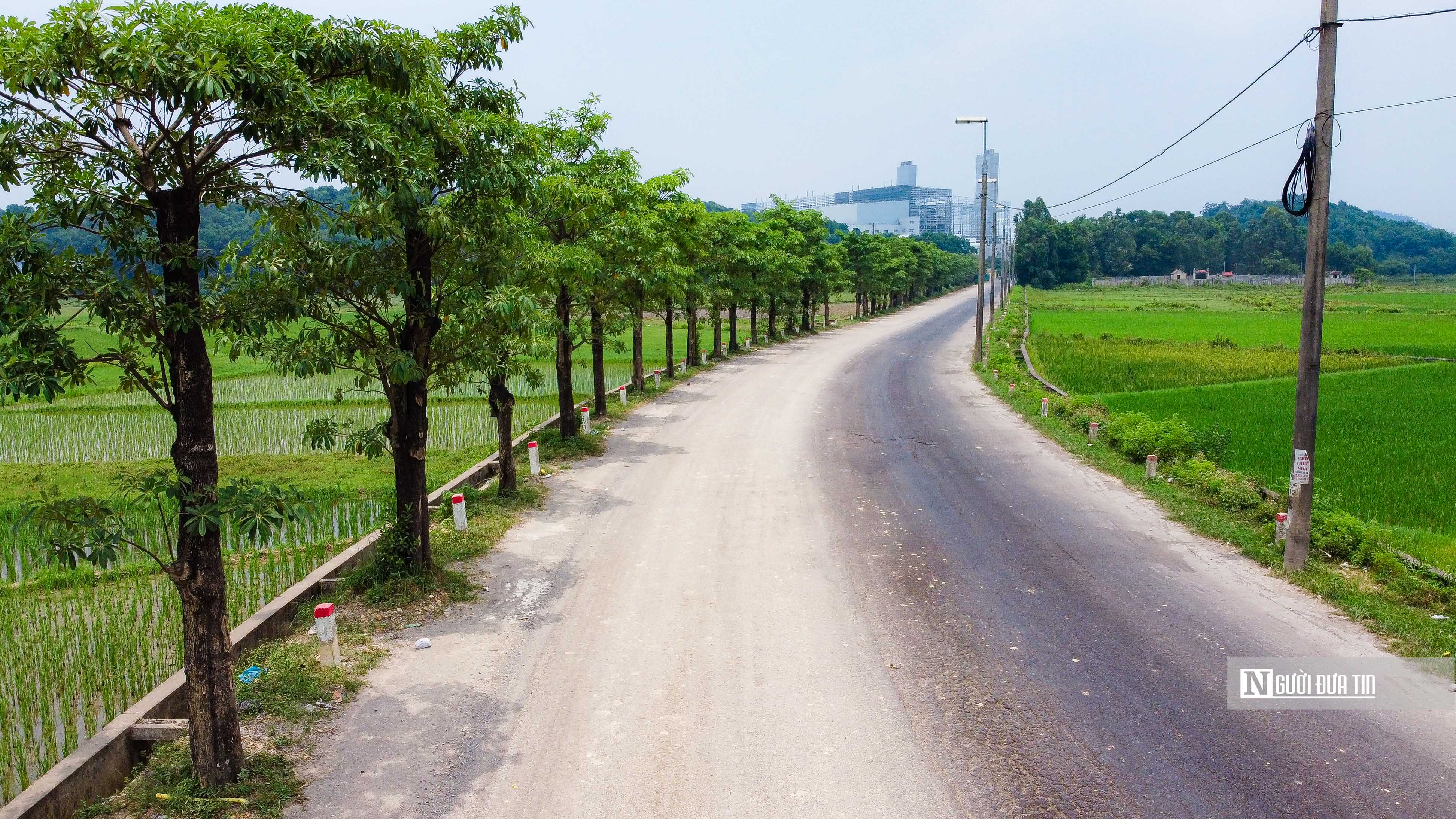 Môi trường - Hàng hoa sữa sau 3 năm đưa lên trồng tại bãi rác Nam Sơn  (Hình 7).