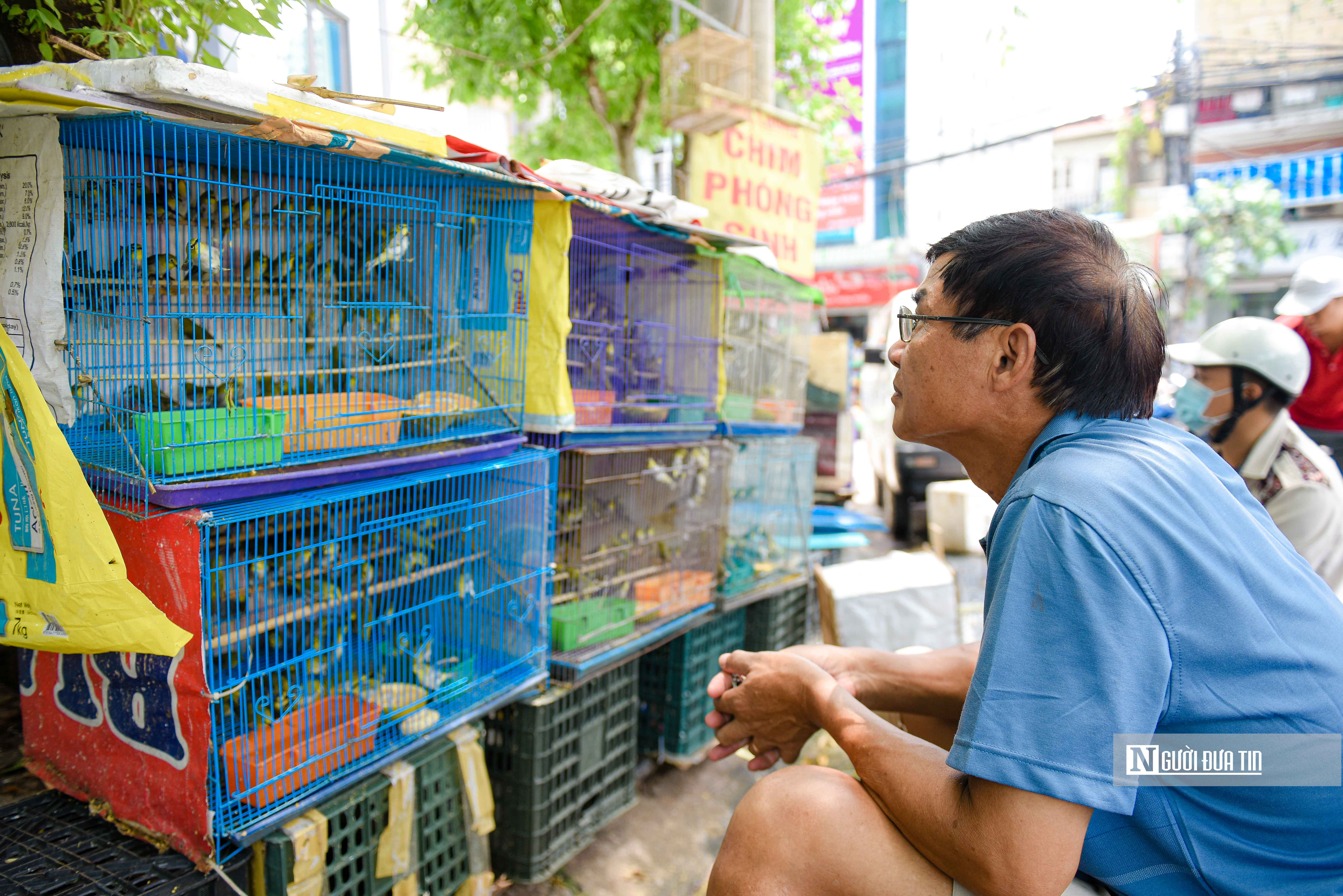 Tiêu dùng & Dư luận - Thu mua vạn con chim rồi bán cho khách phóng sinh rằm tháng 7 (Hình 9).