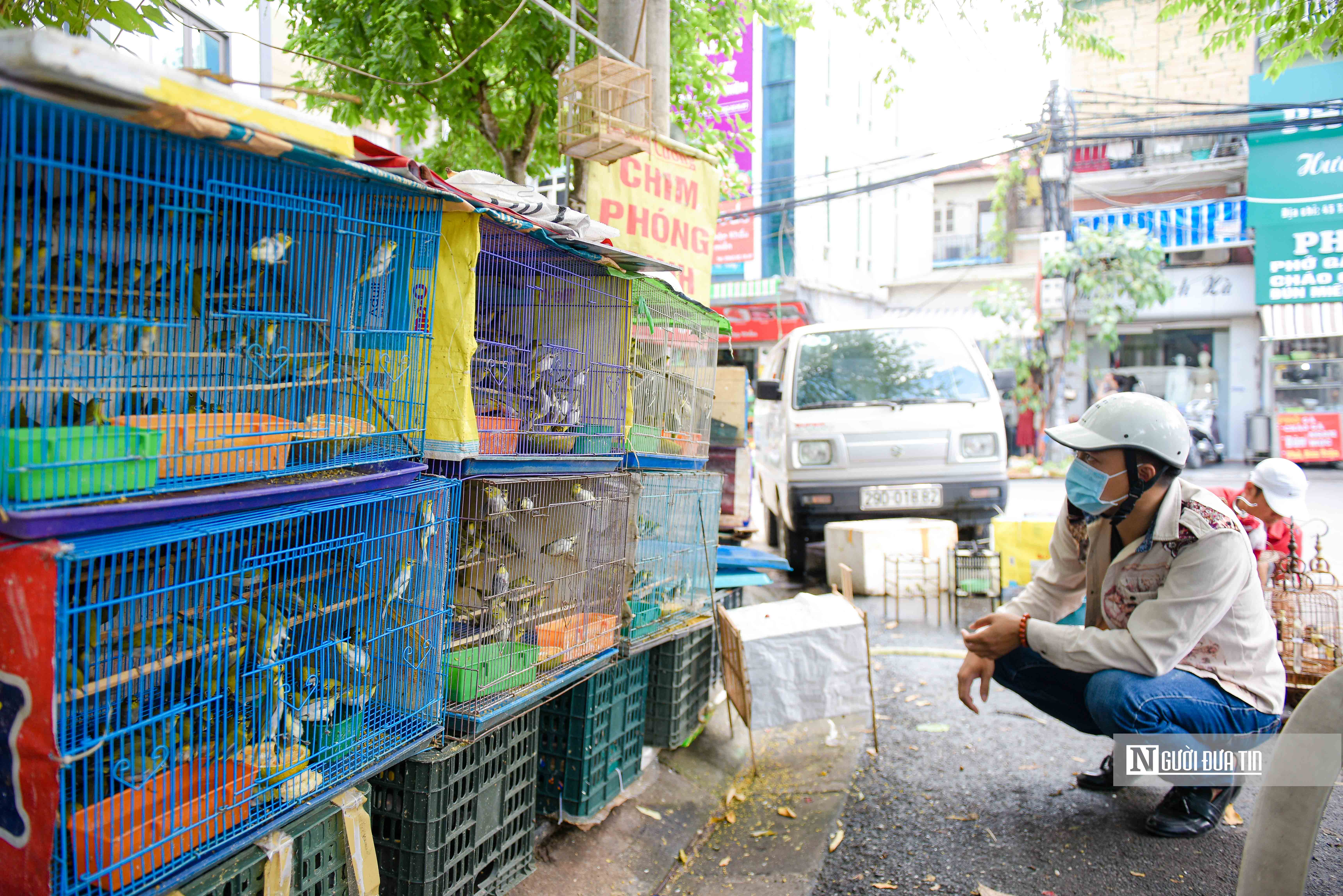 Tiêu dùng & Dư luận - Thu mua vạn con chim rồi bán cho khách phóng sinh rằm tháng 7 (Hình 8).