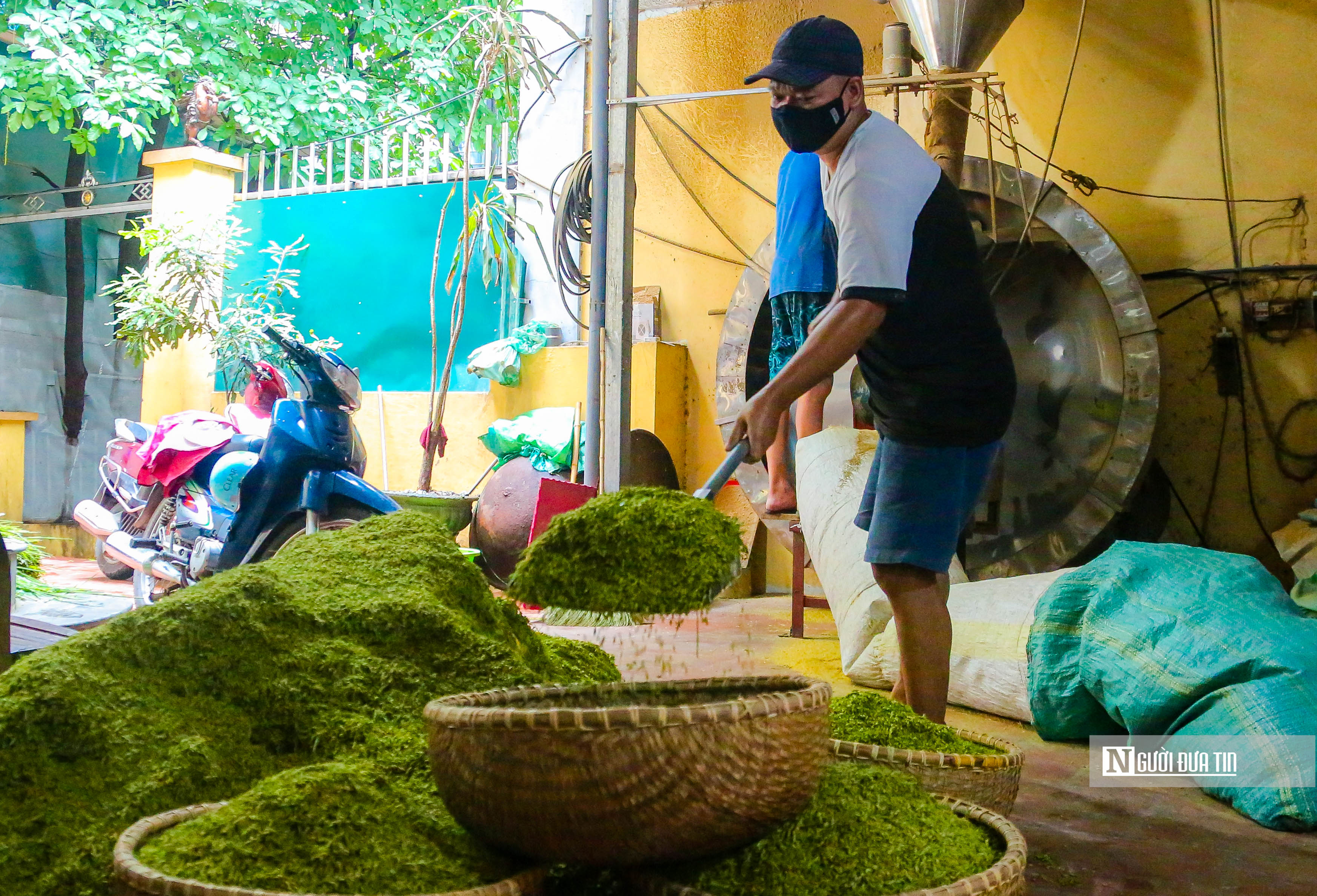 Dân sinh - Làng cốm Mễ Trì vào vụ lớn nhất trong năm (Hình 3).