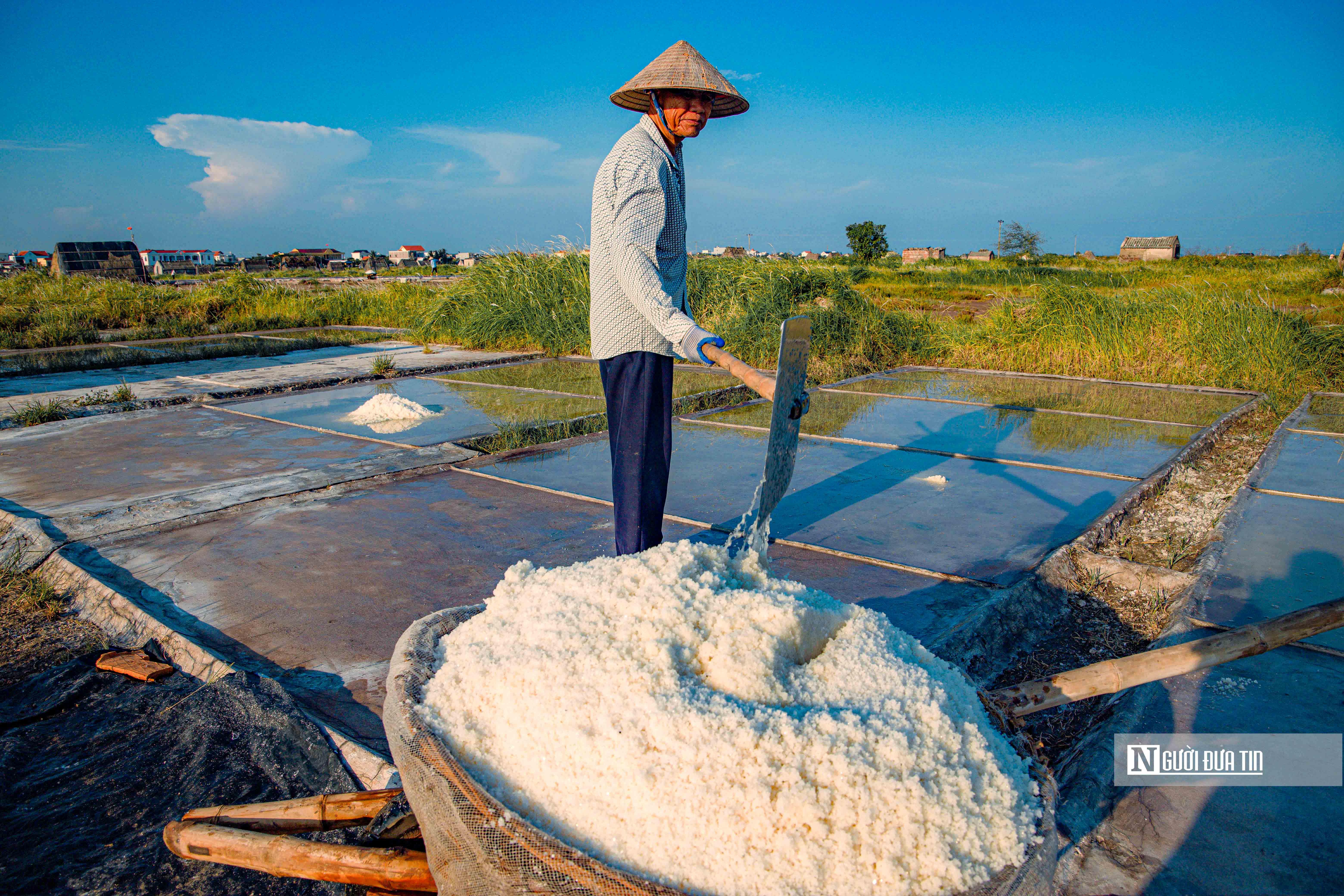 Tiêu dùng & Dư luận - Vựa muối lớn nhất miền Bắc tất bật vào mùa thu hoạch (Hình 11).