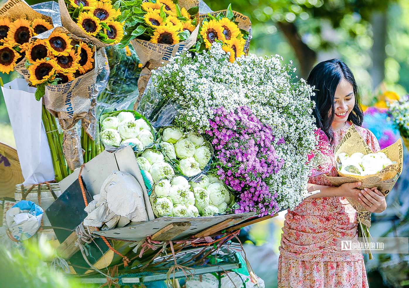 Dân sinh - Ngắm cảnh sắc Hà Nội ngày cuối thu (Hình 8).