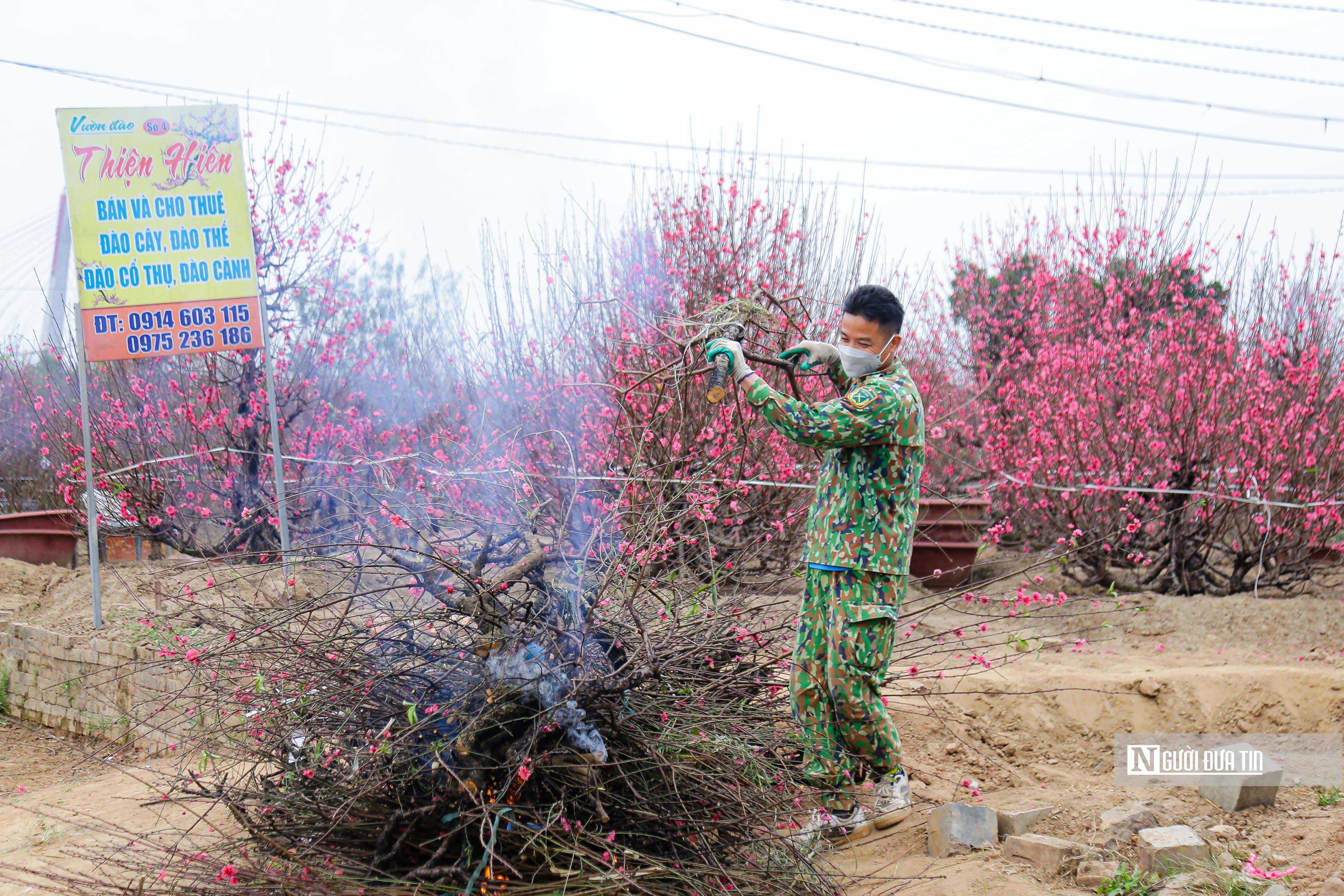 Kinh tế - Hà Nội: Người dân chen chân mua đào những ngày cận Tết (Hình 14).