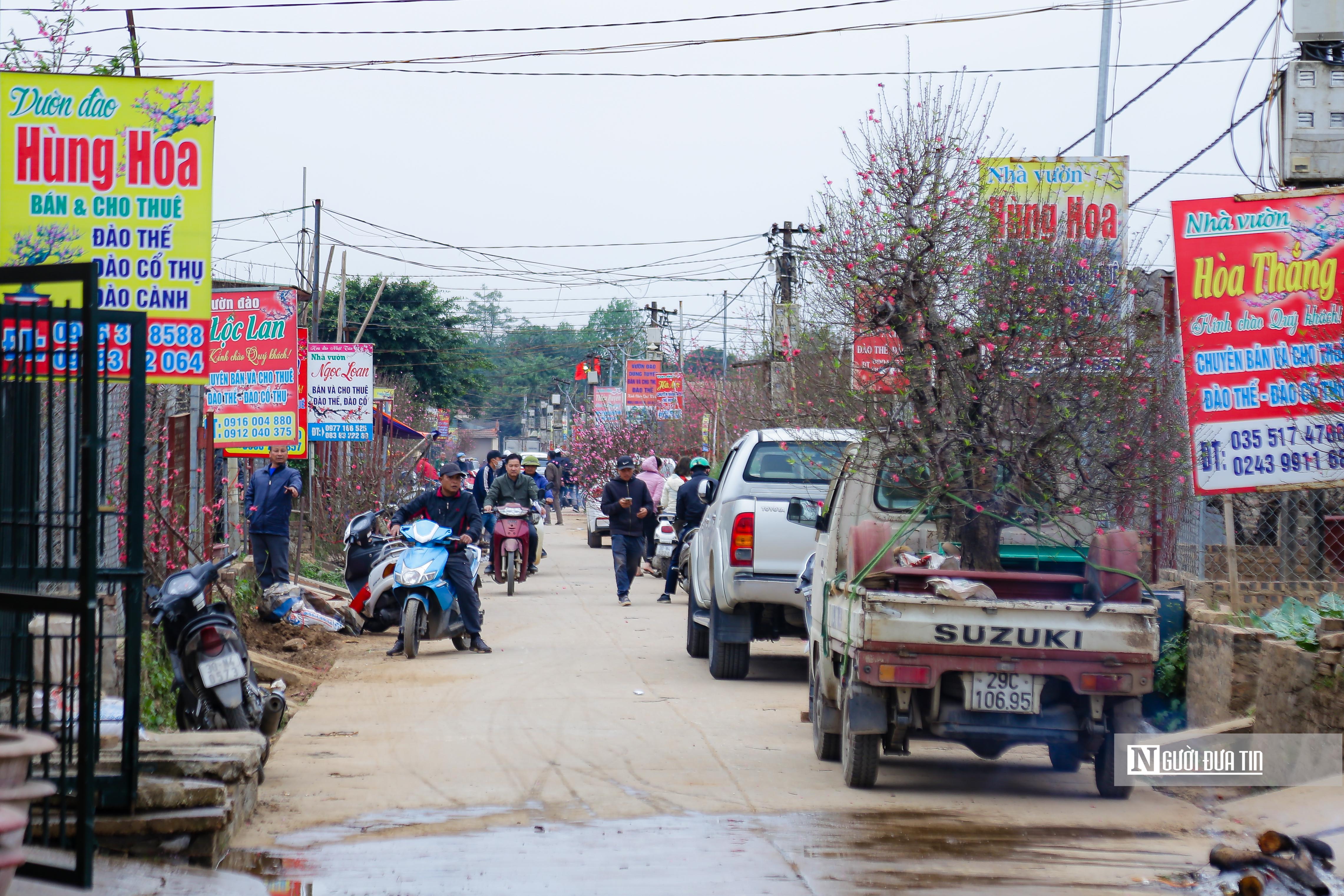 Kinh tế - Hà Nội: Người dân chen chân mua đào những ngày cận Tết (Hình 3).