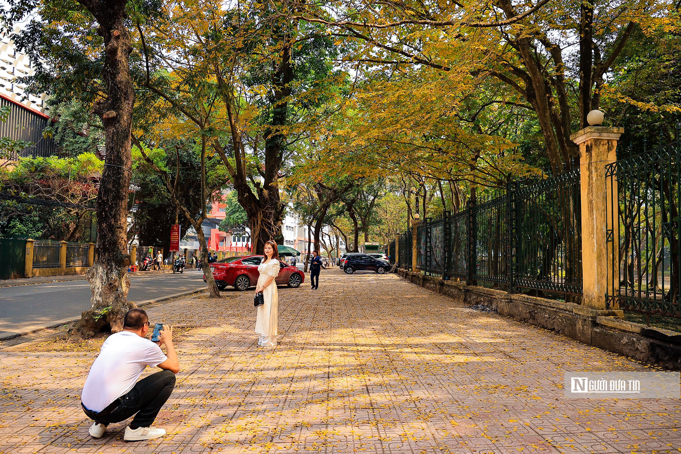 Dân sinh - Mê mẩn ngắm Hà Nội mùa thay lá (Hình 6).