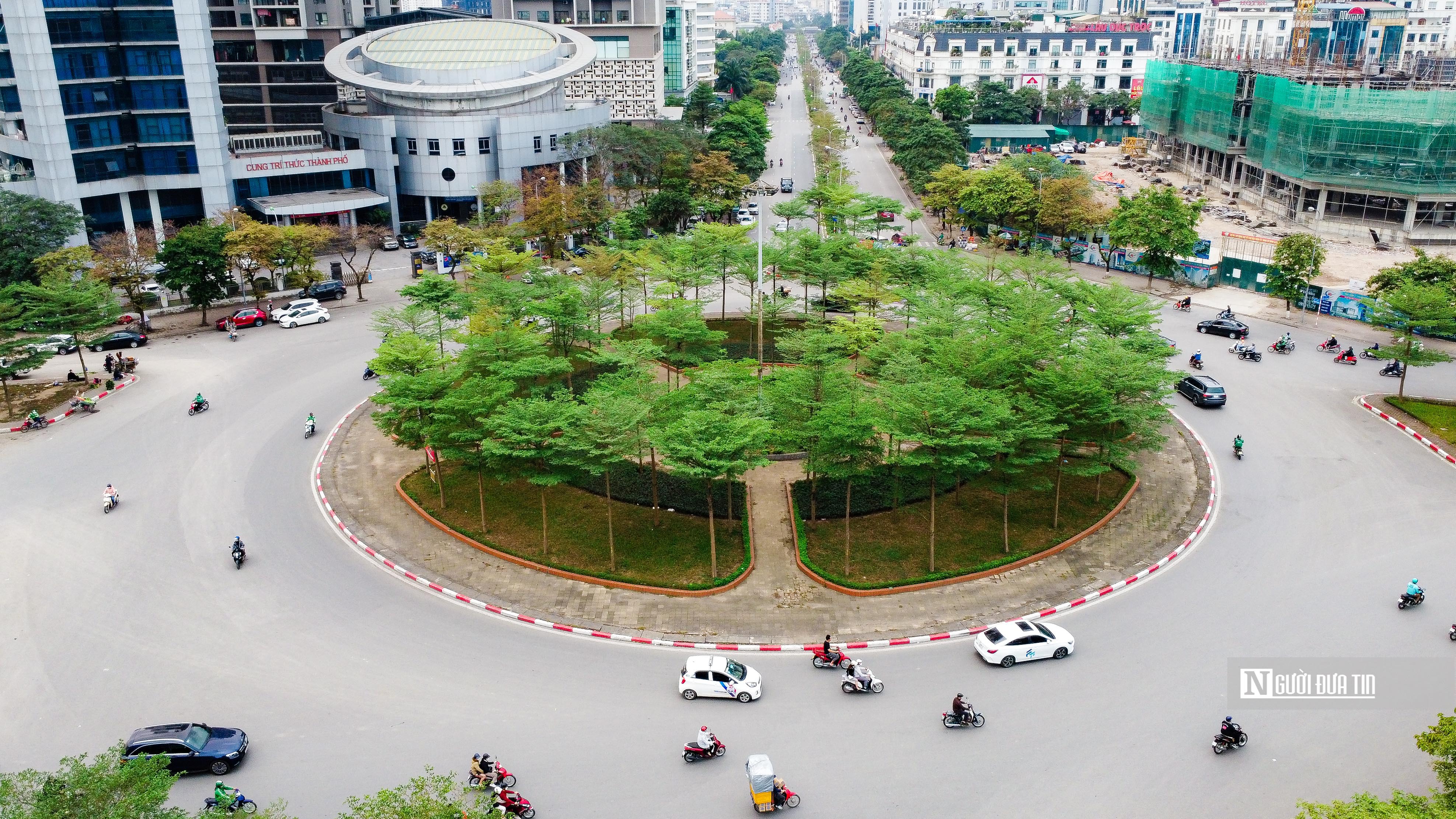 Sự kiện - Cận cảnh hàng cây xanh nhập lậu được trồng tại các tuyến phố ở Hà Nội (Hình 3).