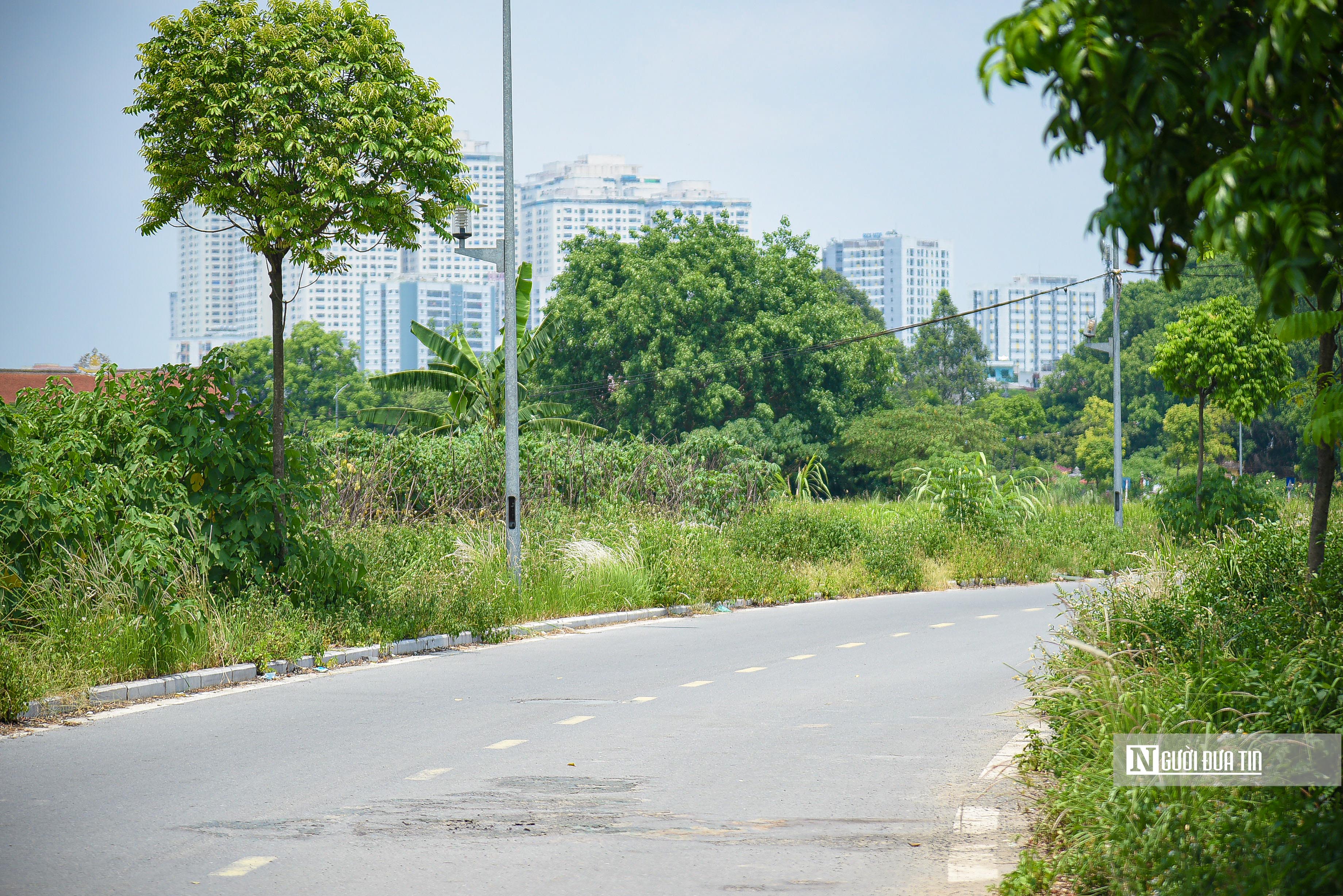 Bất động sản - Sau 7 năm quy hoạch, công viên Chu Văn An vẫn ngổn ngang toàn rác thải (Hình 6).