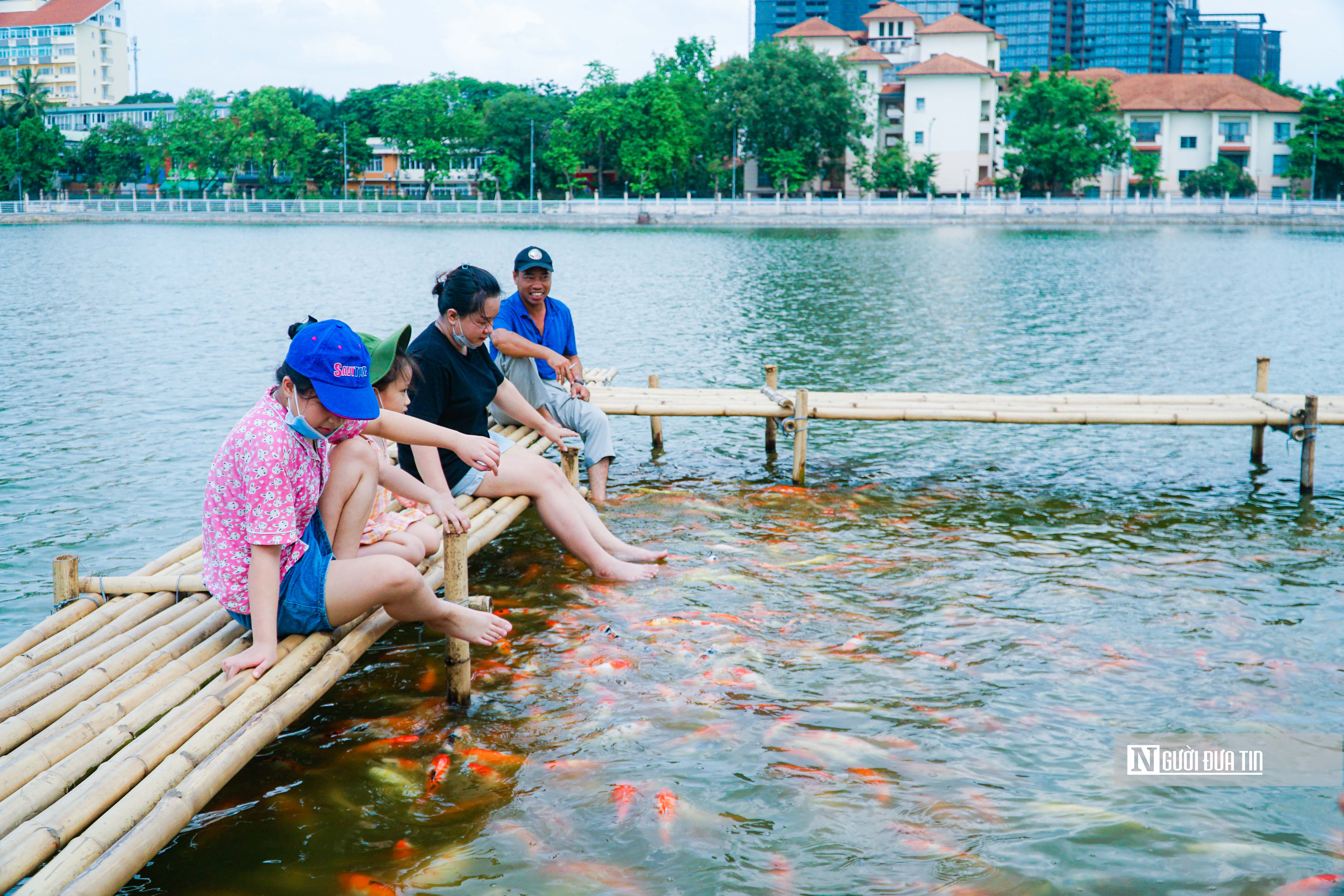 Dân sinh - Người dân Thủ đô thích thú trải nghiệm tại hồ cá koi rộng 3,5ha (Hình 11).