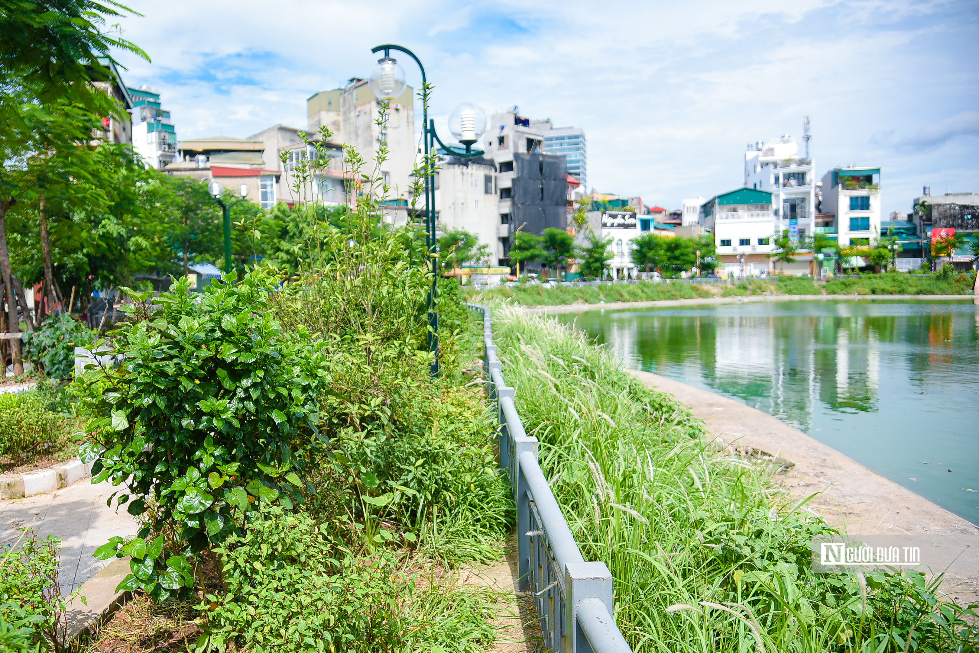 Dân sinh - Hồ nước rộng 2ha giữa lòng Thủ đô ô nhiễm nặng nề (Hình 6).