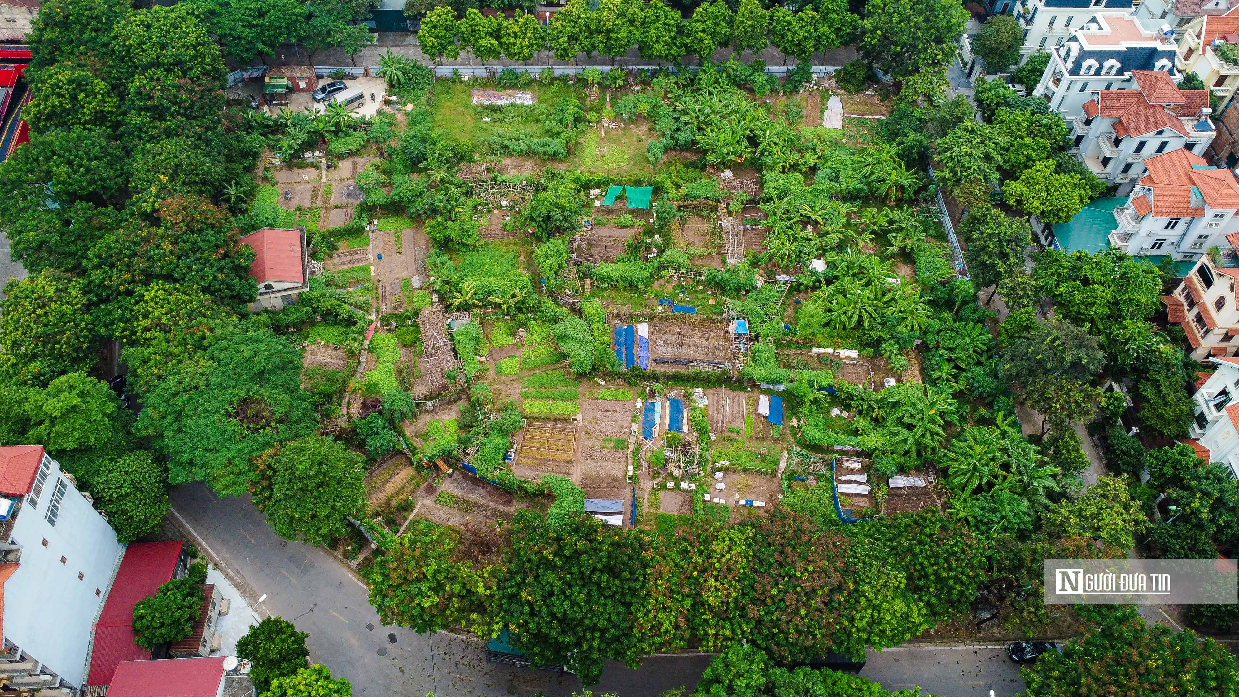 Bất động sản - Hà Nội: Cận cảnh 4 lô đất xây trường học tại quận Hoàng Mai (Hình 3).