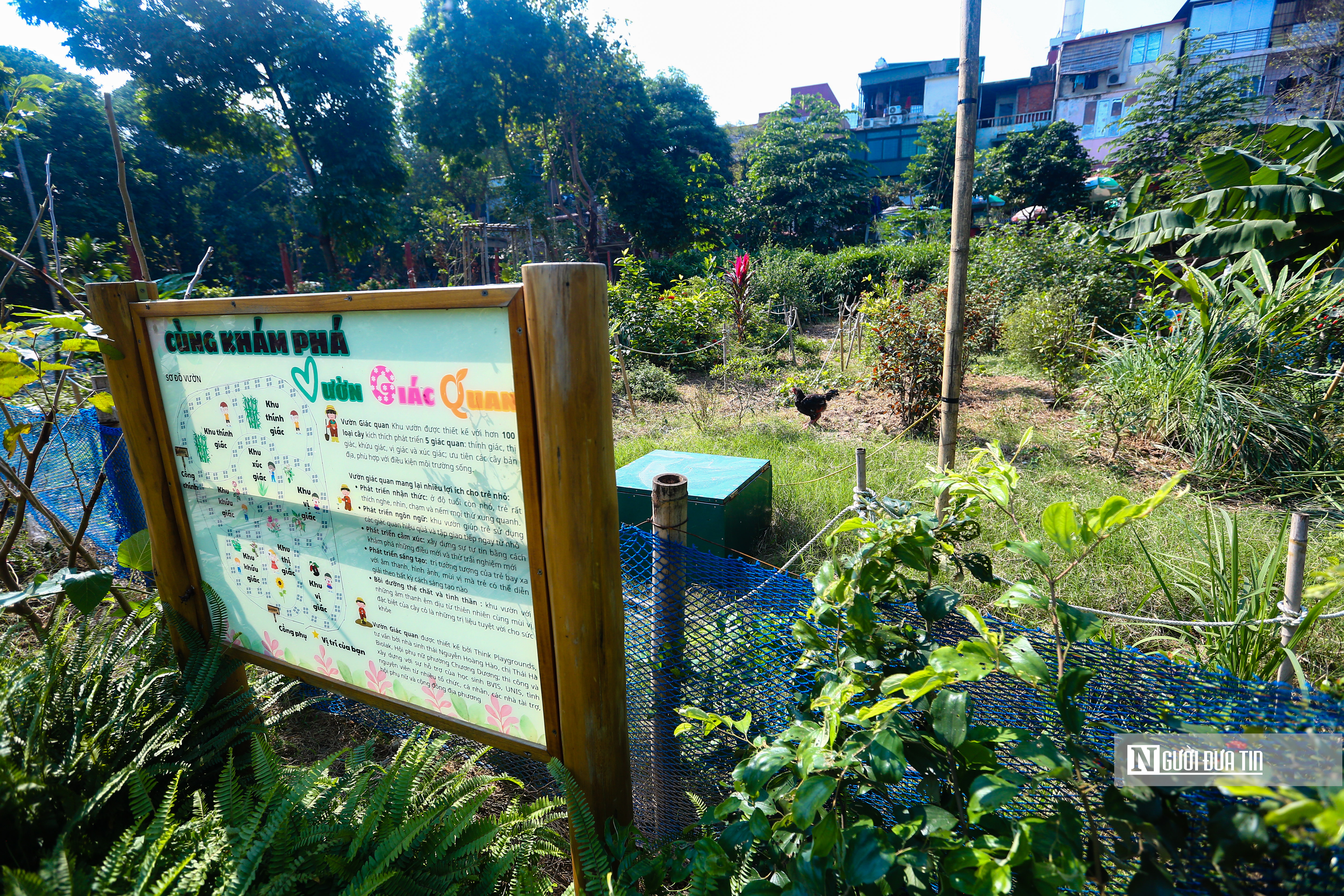 Dân sinh - Công viên rừng giữa trung tâm Thủ đô được cải tạo từ bãi rác (Hình 12).