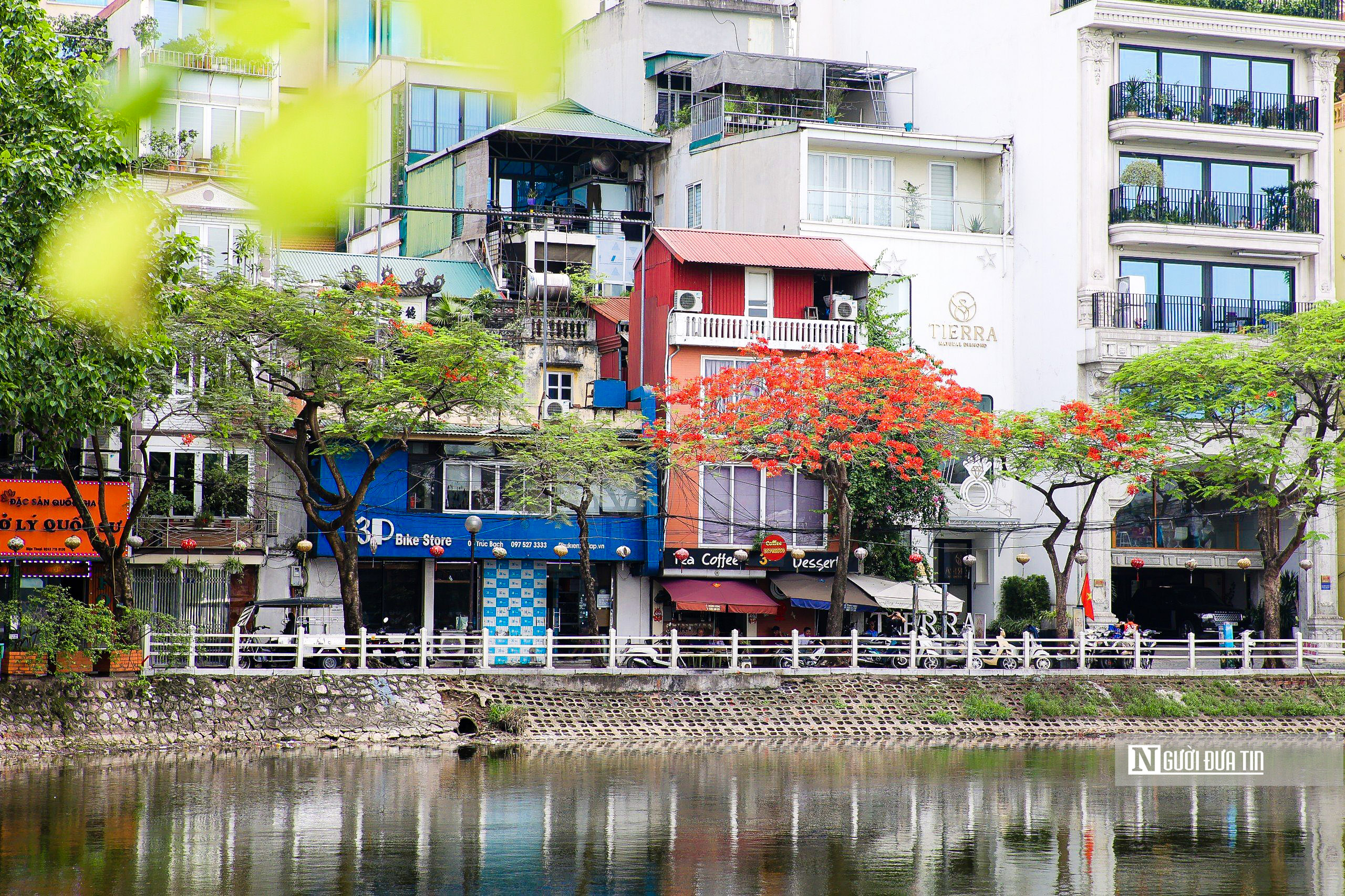 Dân sinh - Hoa phượng rực đỏ trên nhiều tuyến phố Thủ đô (Hình 10).