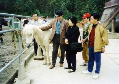 Ngôi sao - Số phận bi thảm của chú ngựa Bạch Long trong Tây Du Ký (Hình 6).