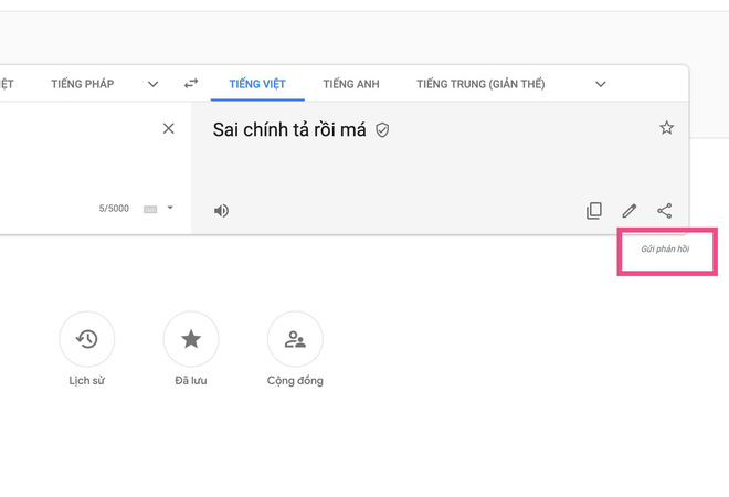 Thủ thuật - Tiện ích - Google Dịch tiếng Việt đang bị 'hack' (Hình 2).