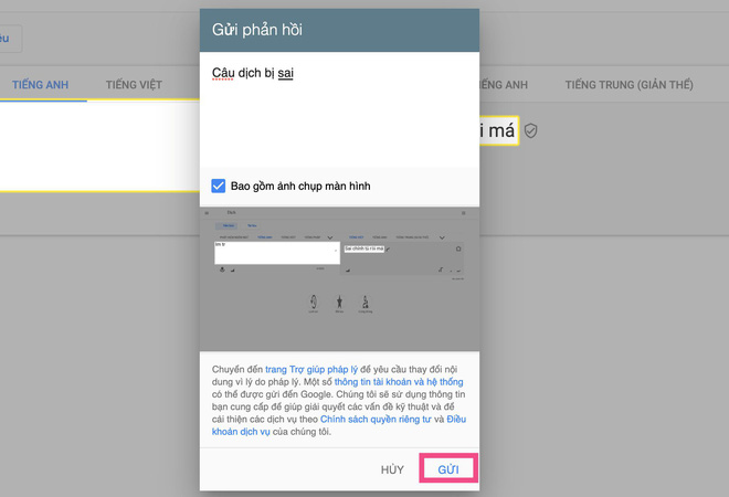 Thủ thuật - Tiện ích - Google Dịch tiếng Việt đang bị 'hack' (Hình 3).