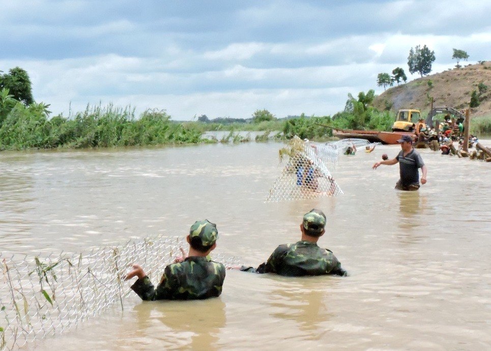 Môi trường - Cận cảnh người dân Đắk Lăk gồng mình vá đê giải cứu 1.000 ha lúa (Hình 2).