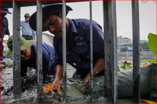 Dân sinh - Dự báo thời tiết ngày 4/10: 'Cầu mưa' quá liều, nghe tin áp thấp về mà 'lạnh gáy' (Hình 3).