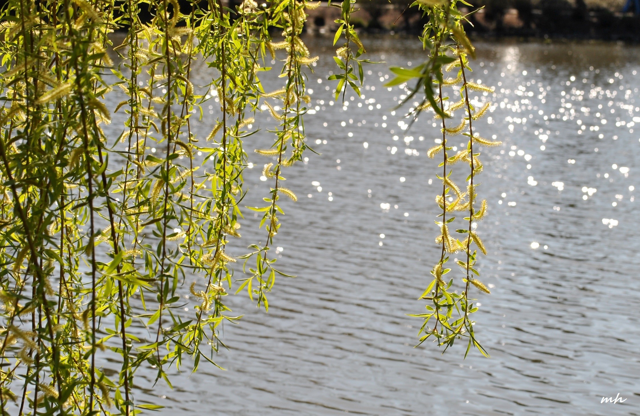 Dân sinh - Dự báo thời tiết ngày 6/12: Nắng pha lê giữa trời băng giá