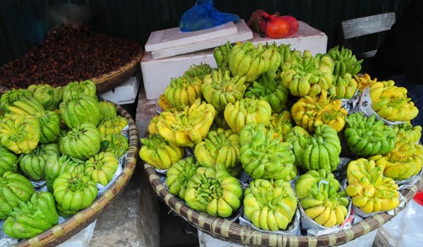 Đời sống - Mẹo bảo quản quả phật thủ luôn tươi mới để trưng bàn thờ Tết