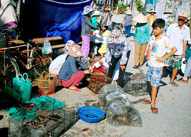 Văn hoá - Đặc sản kinh dị đem về thu nhập tiền triệu cho thương lái miền Tây (Hình 2).