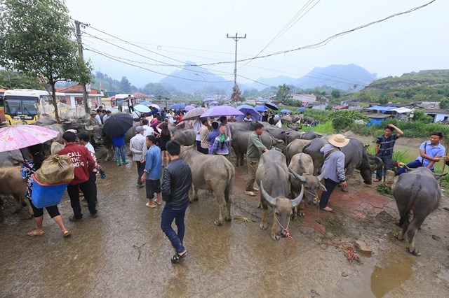 Văn hoá - Trải nghiệm phiên chợ bán 'đầu cơ nghiệp' lớn nhất Tây Bắc (Hình 2).